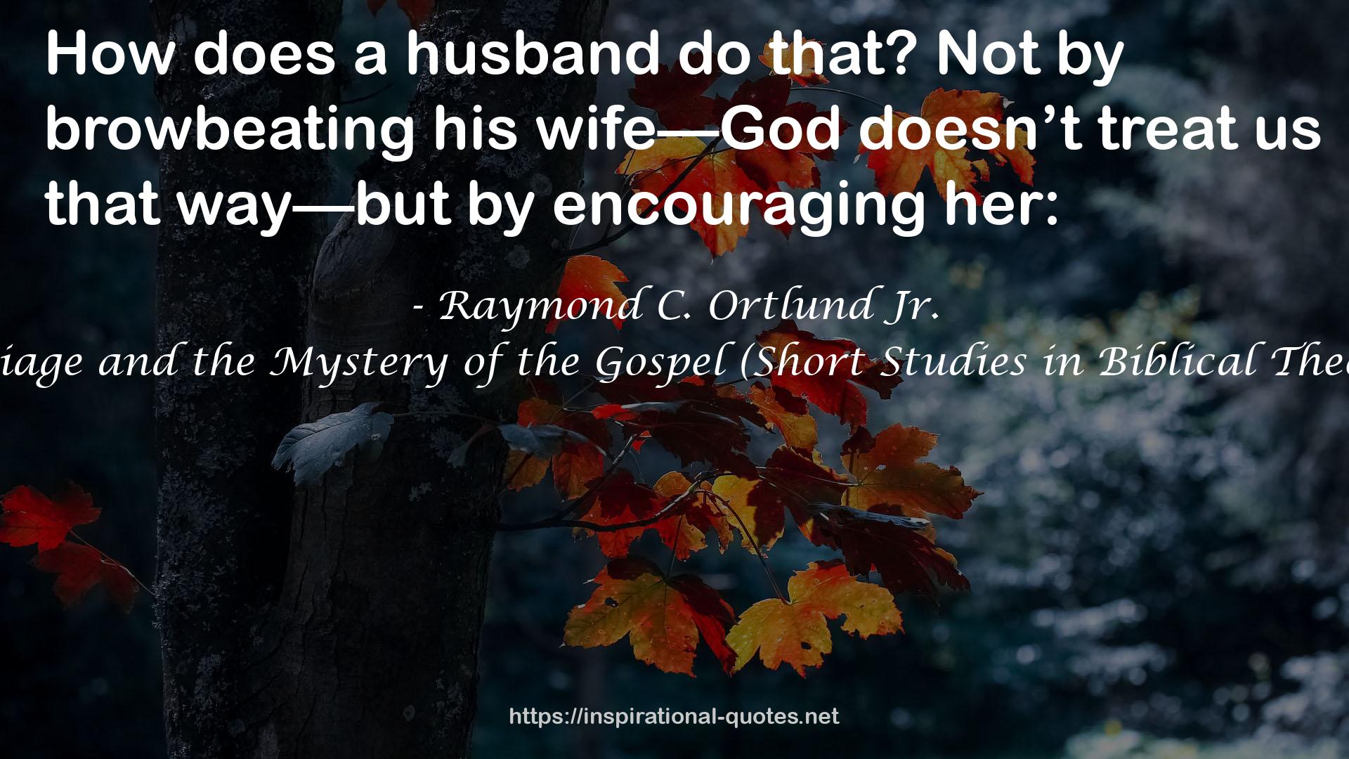 Marriage and the Mystery of the Gospel (Short Studies in Biblical Theology) QUOTES