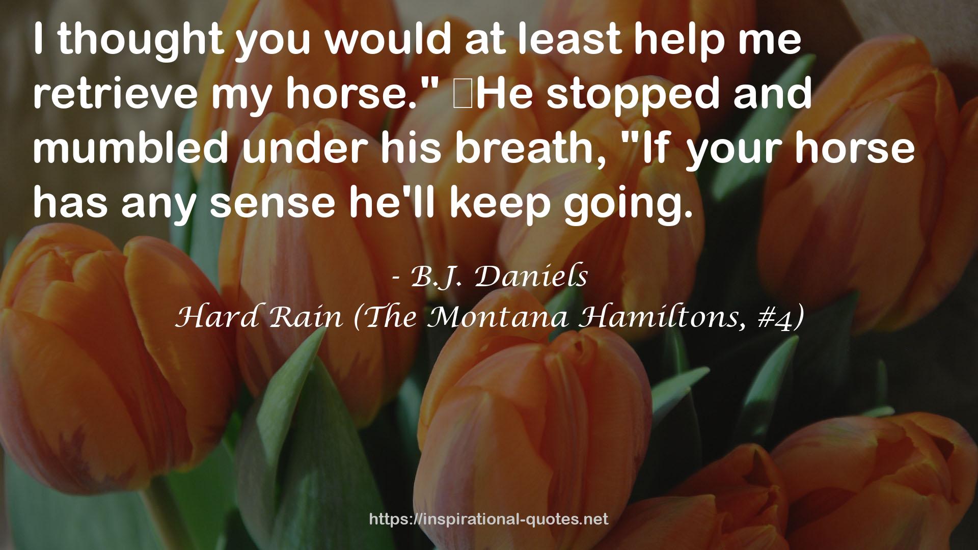 Hard Rain (The Montana Hamiltons, #4) QUOTES