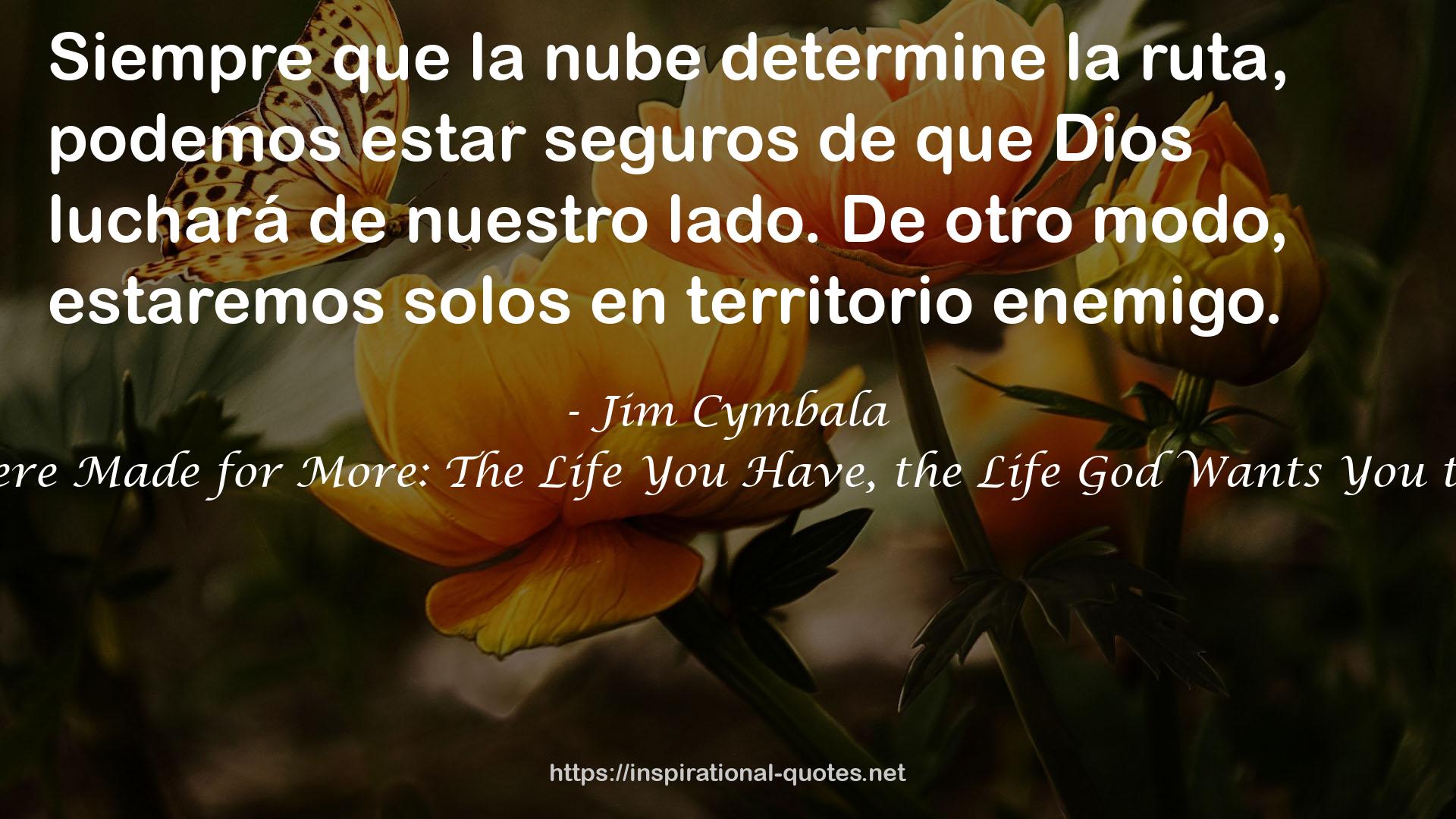 You Were Made for More: The Life You Have, the Life God Wants You to Have QUOTES