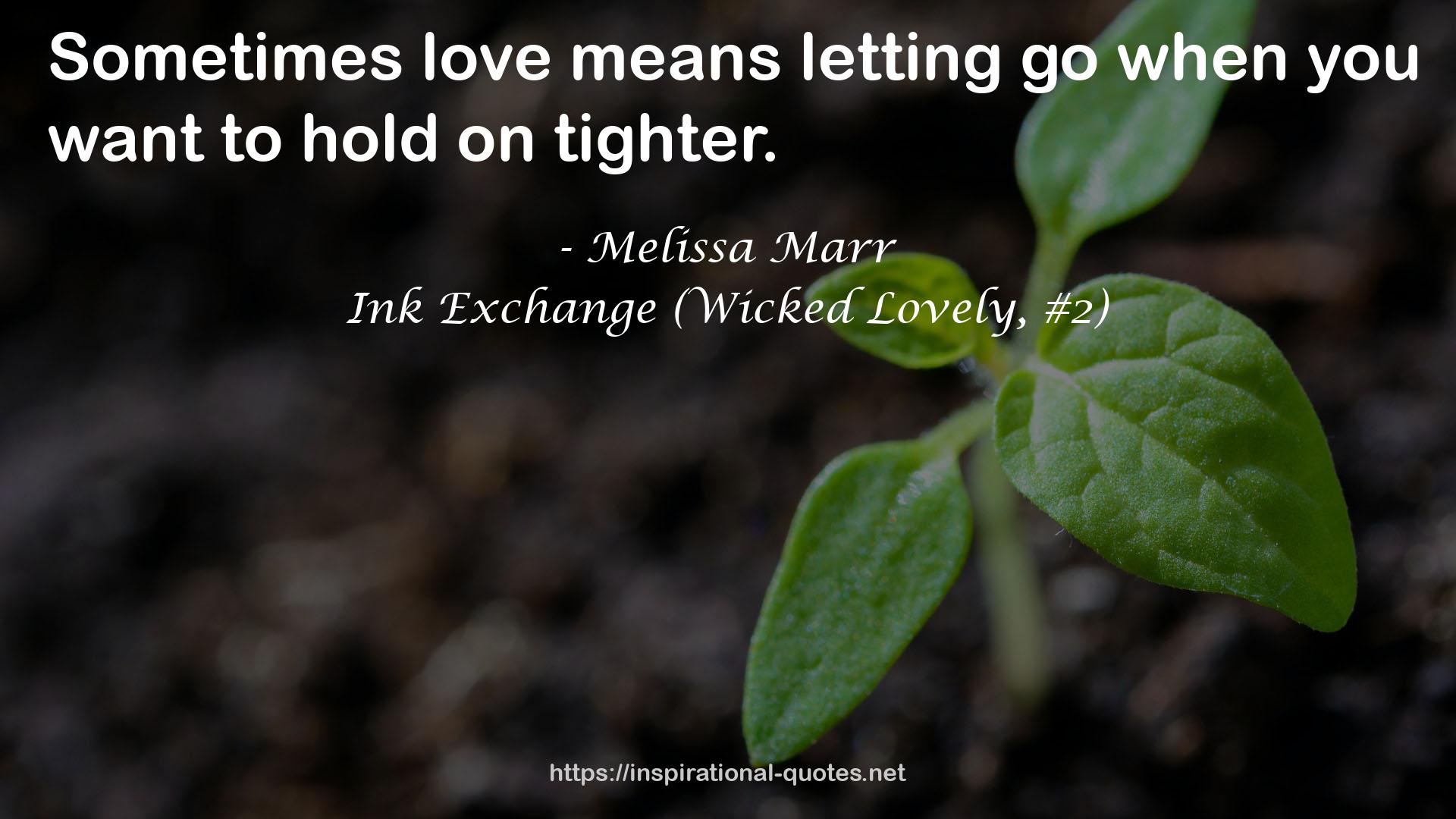 Ink Exchange (Wicked Lovely, #2) QUOTES