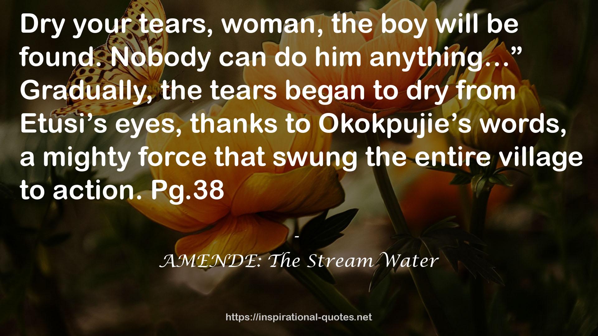 AMENDE: The Stream Water QUOTES