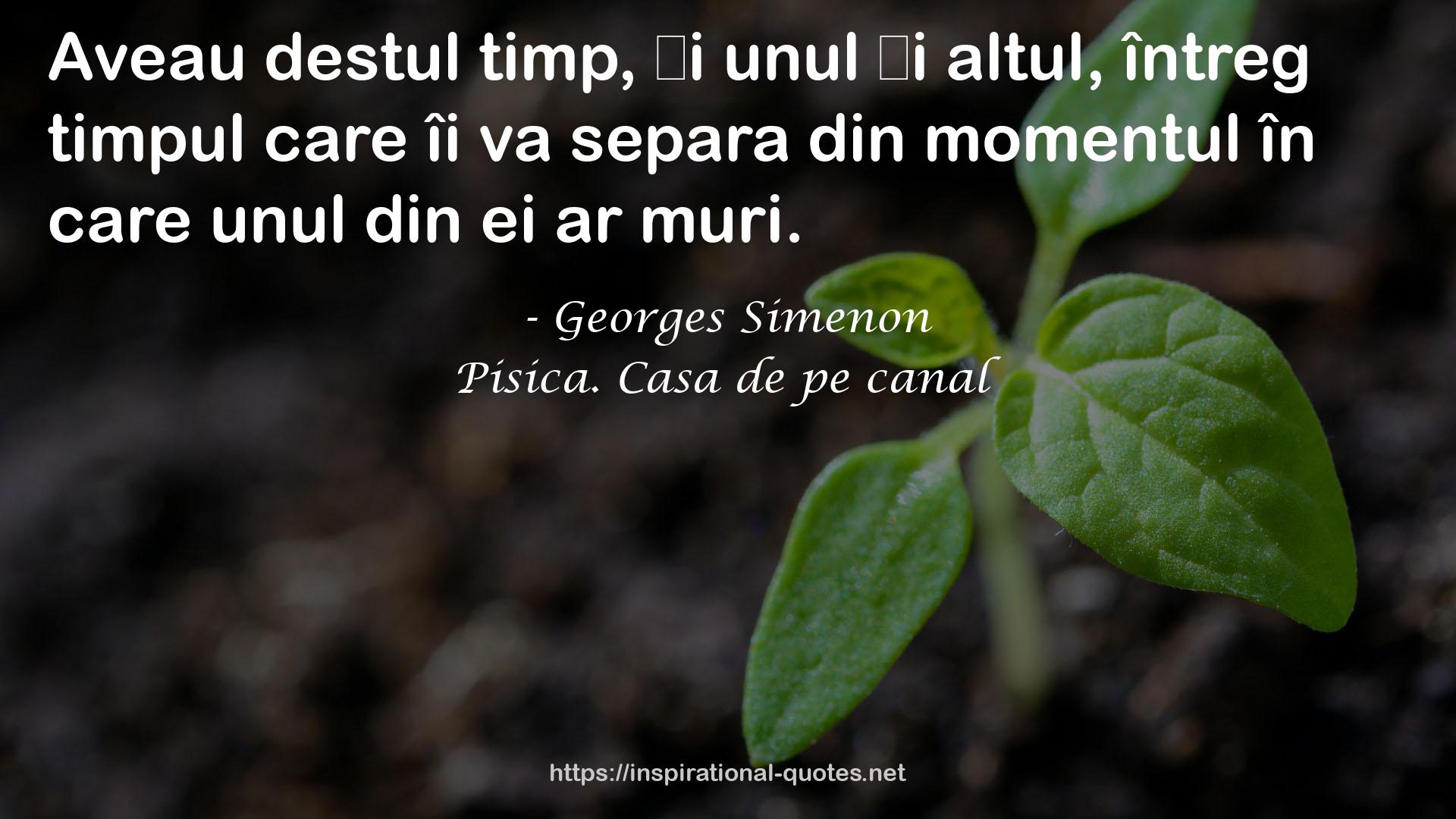 Pisica. Casa de pe canal QUOTES