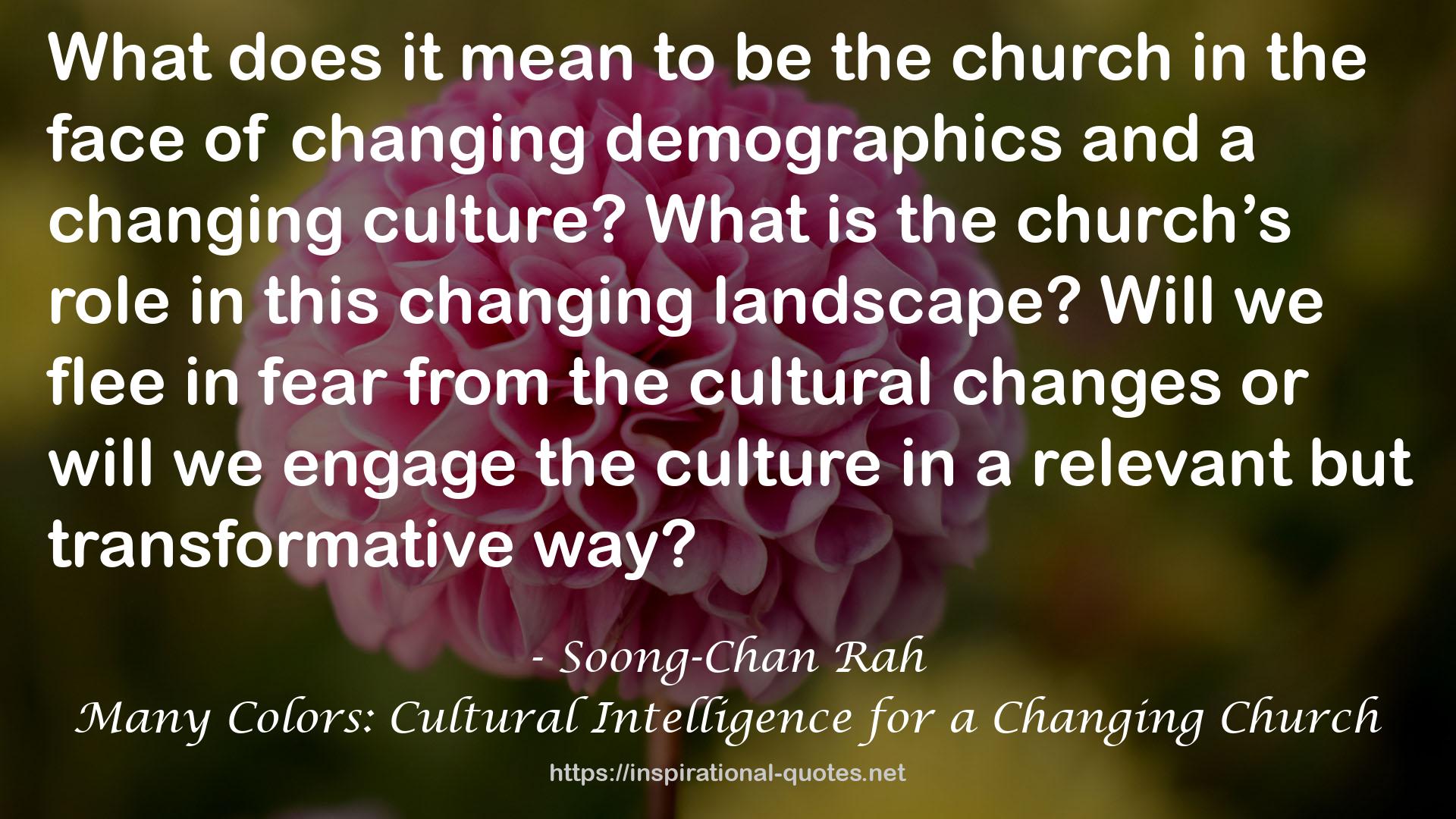 Many Colors: Cultural Intelligence for a Changing Church QUOTES