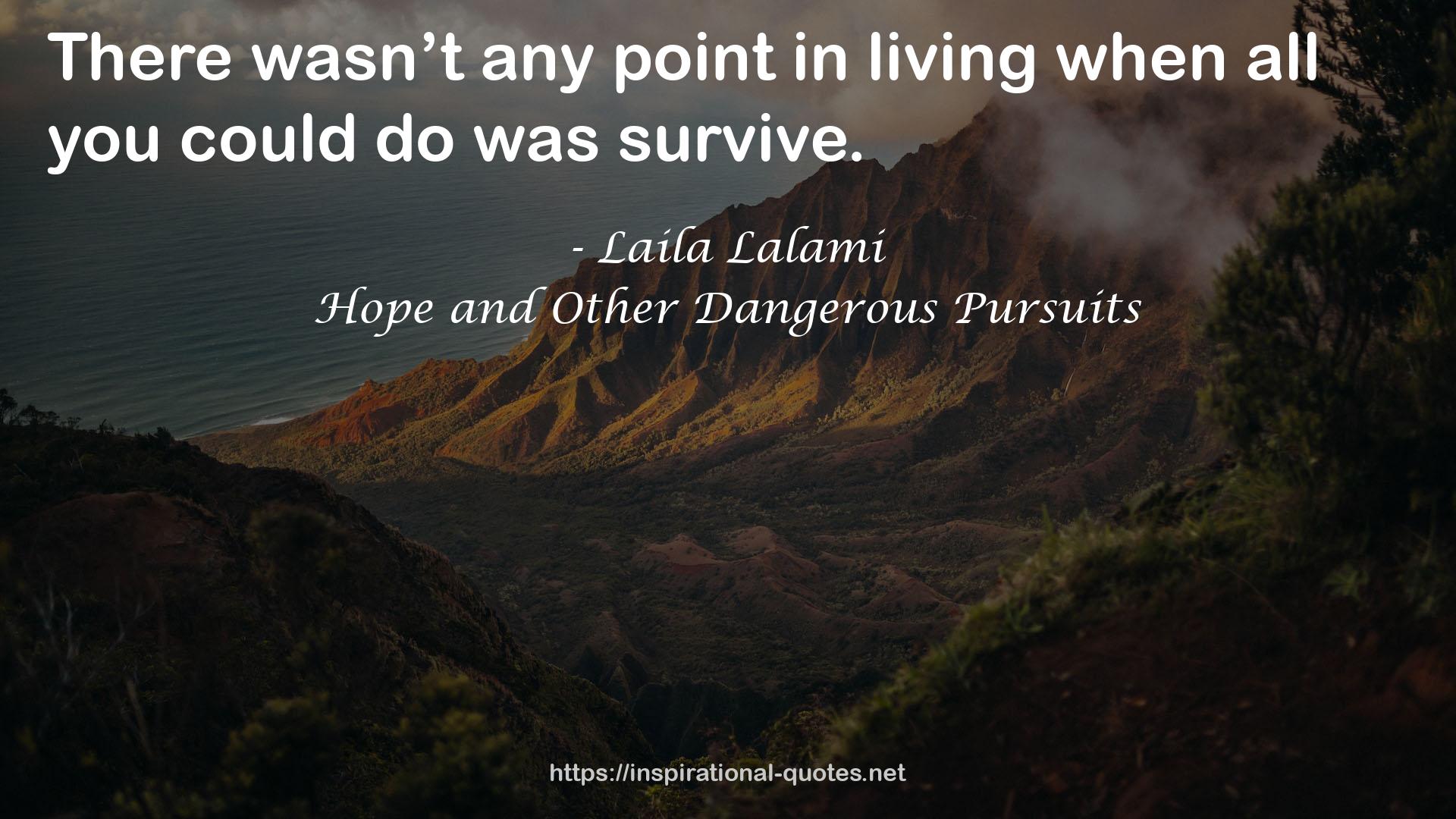 Hope and Other Dangerous Pursuits QUOTES