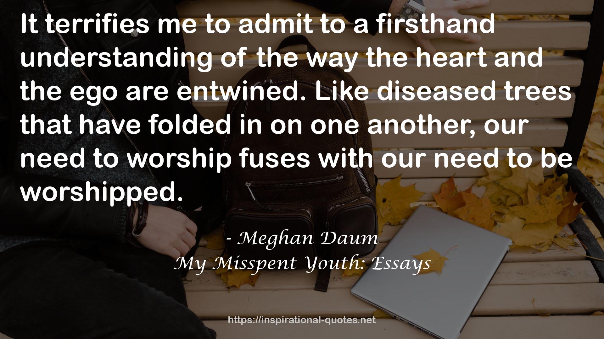 My Misspent Youth: Essays QUOTES