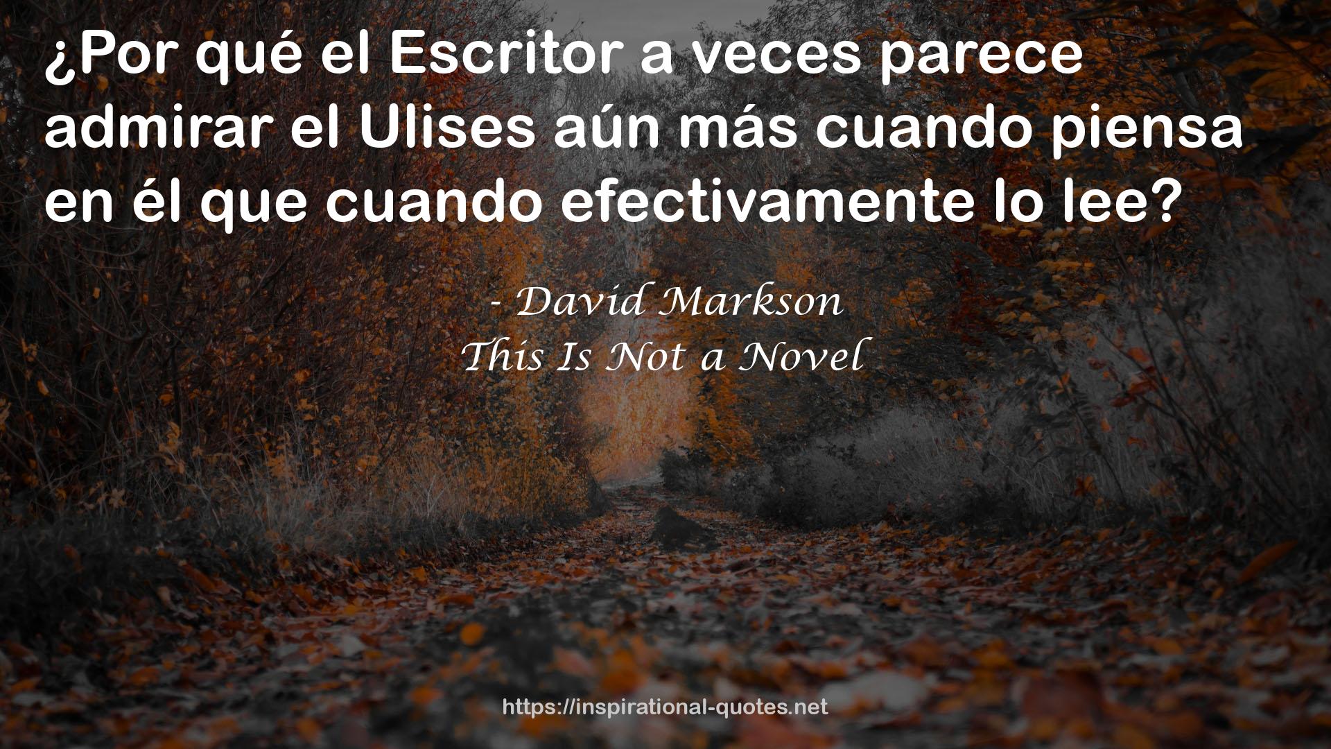 David Markson QUOTES