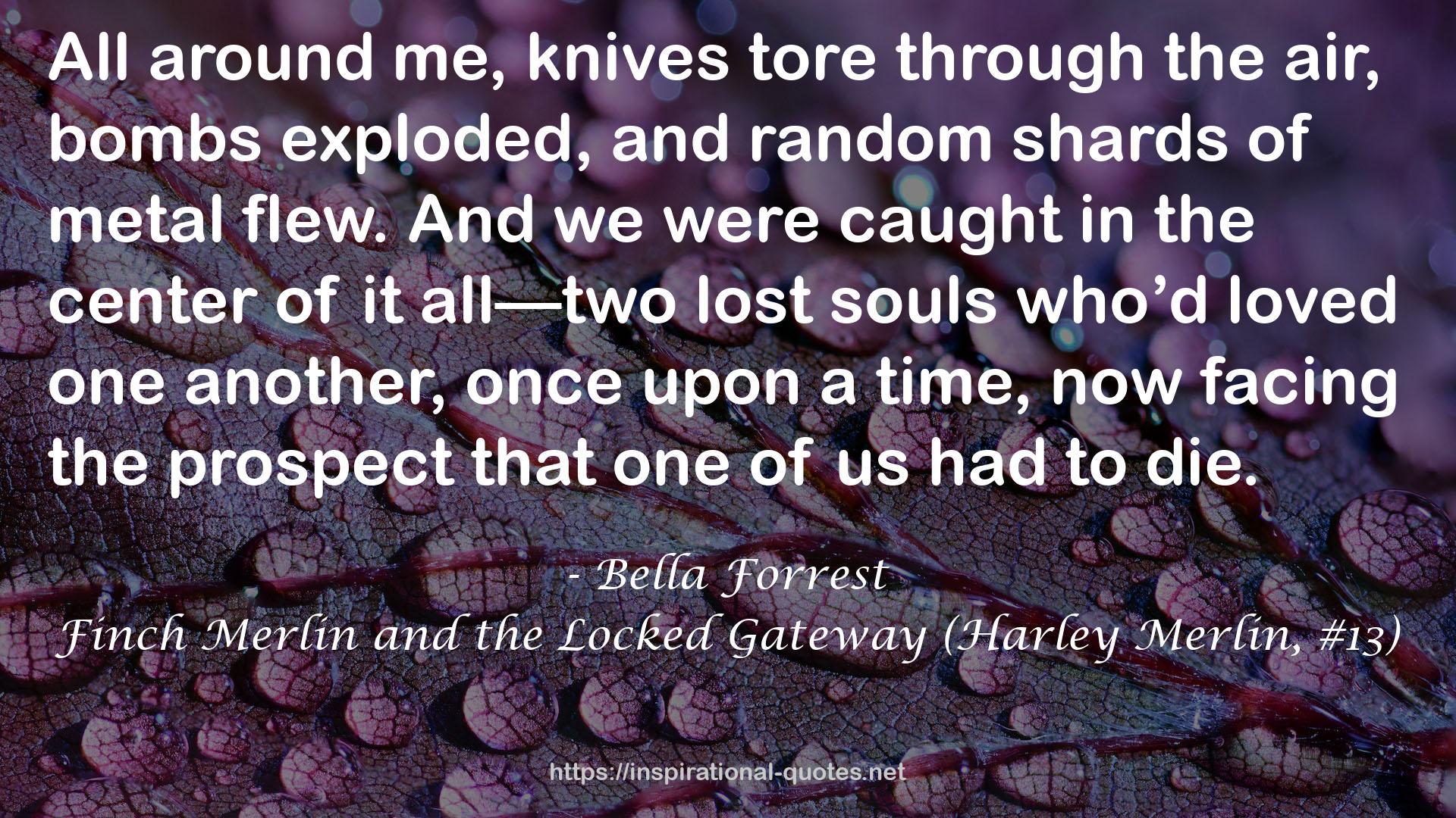 Finch Merlin and the Locked Gateway (Harley Merlin, #13) QUOTES