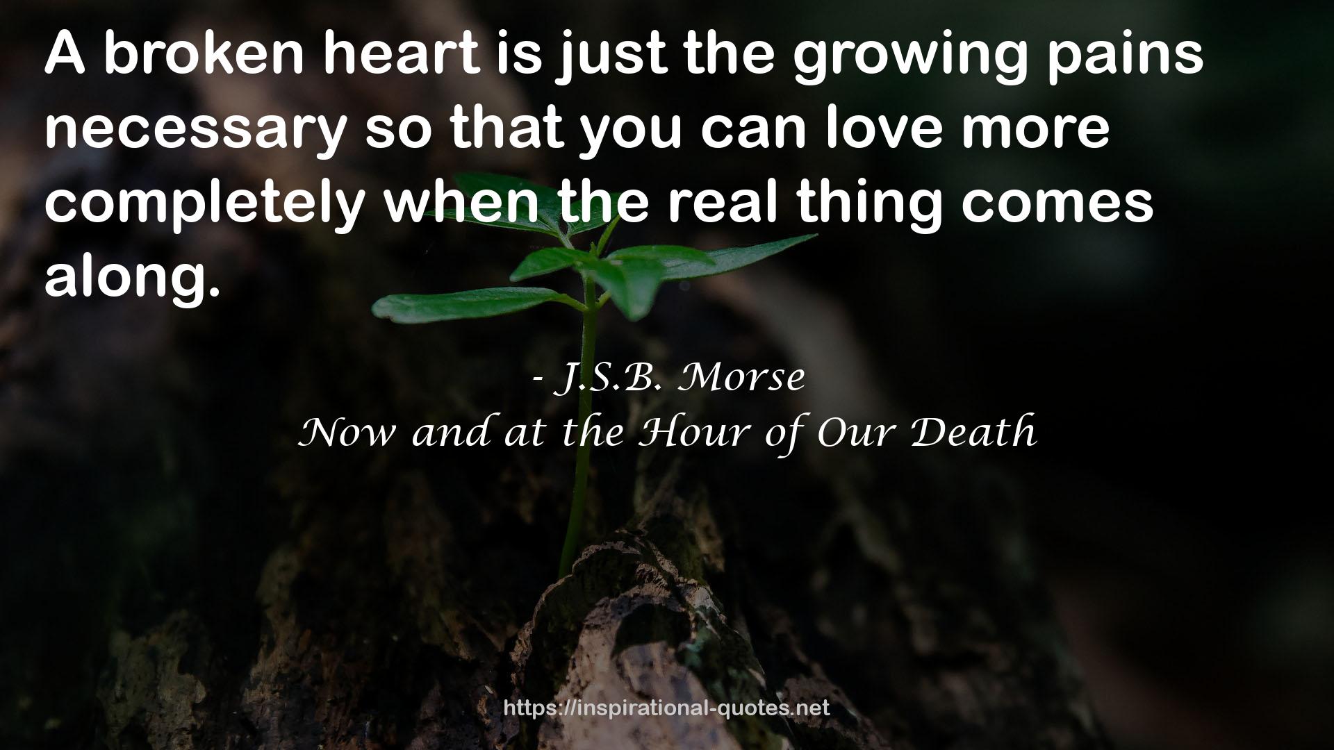 J.S.B. Morse QUOTES