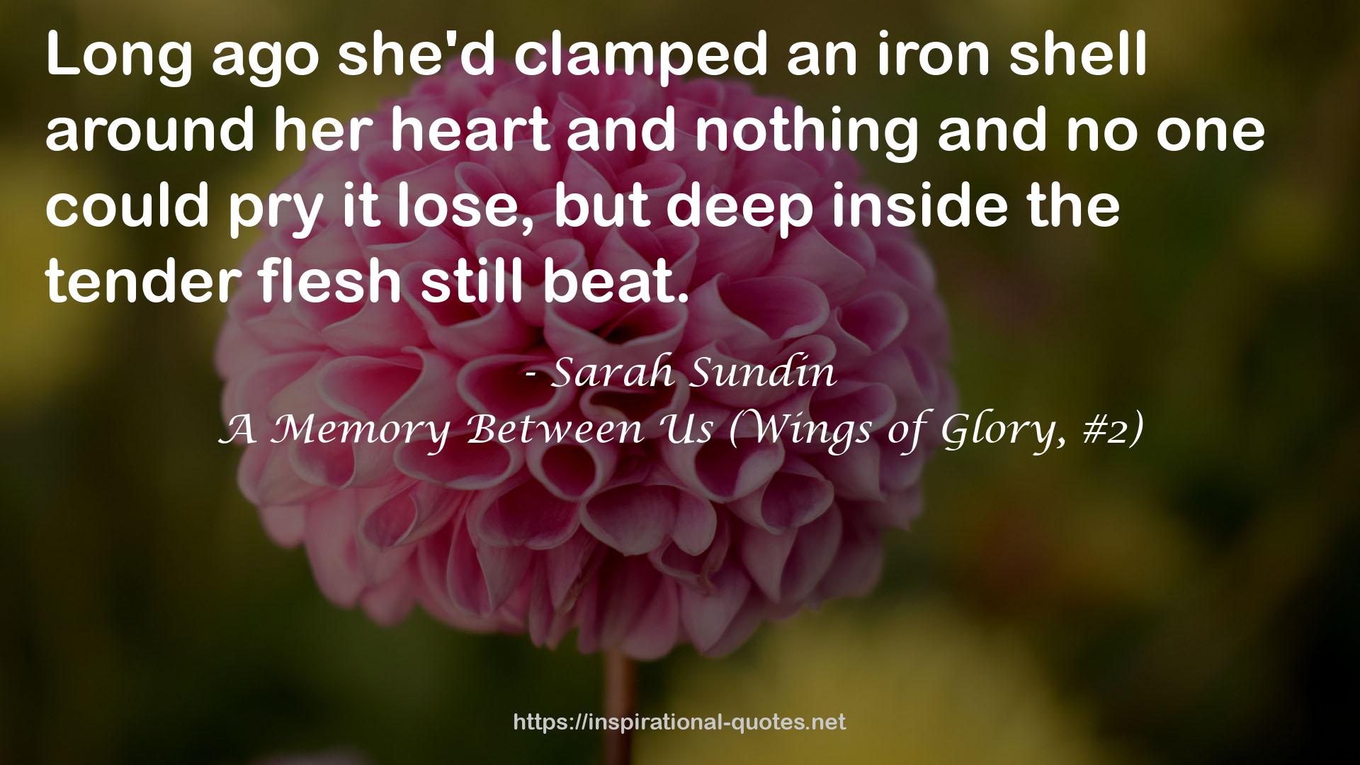 A Memory Between Us (Wings of Glory, #2) QUOTES