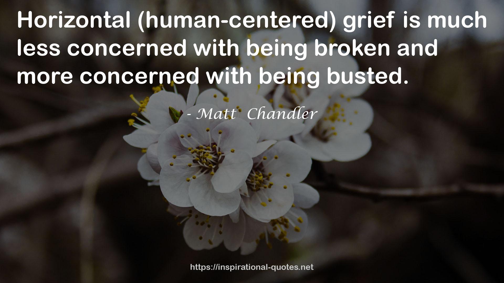 Matt  Chandler QUOTES