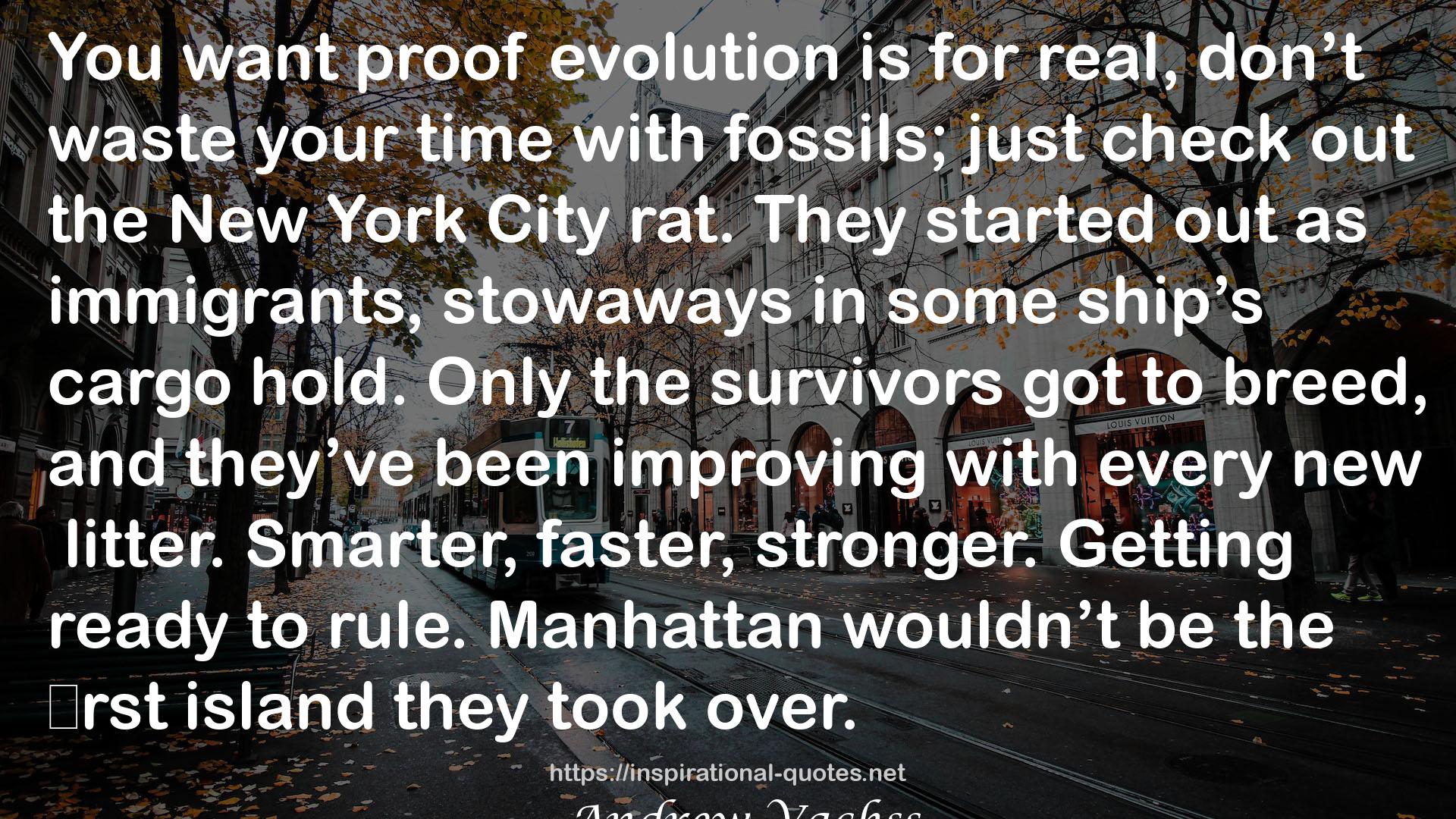 proof evolution  QUOTES