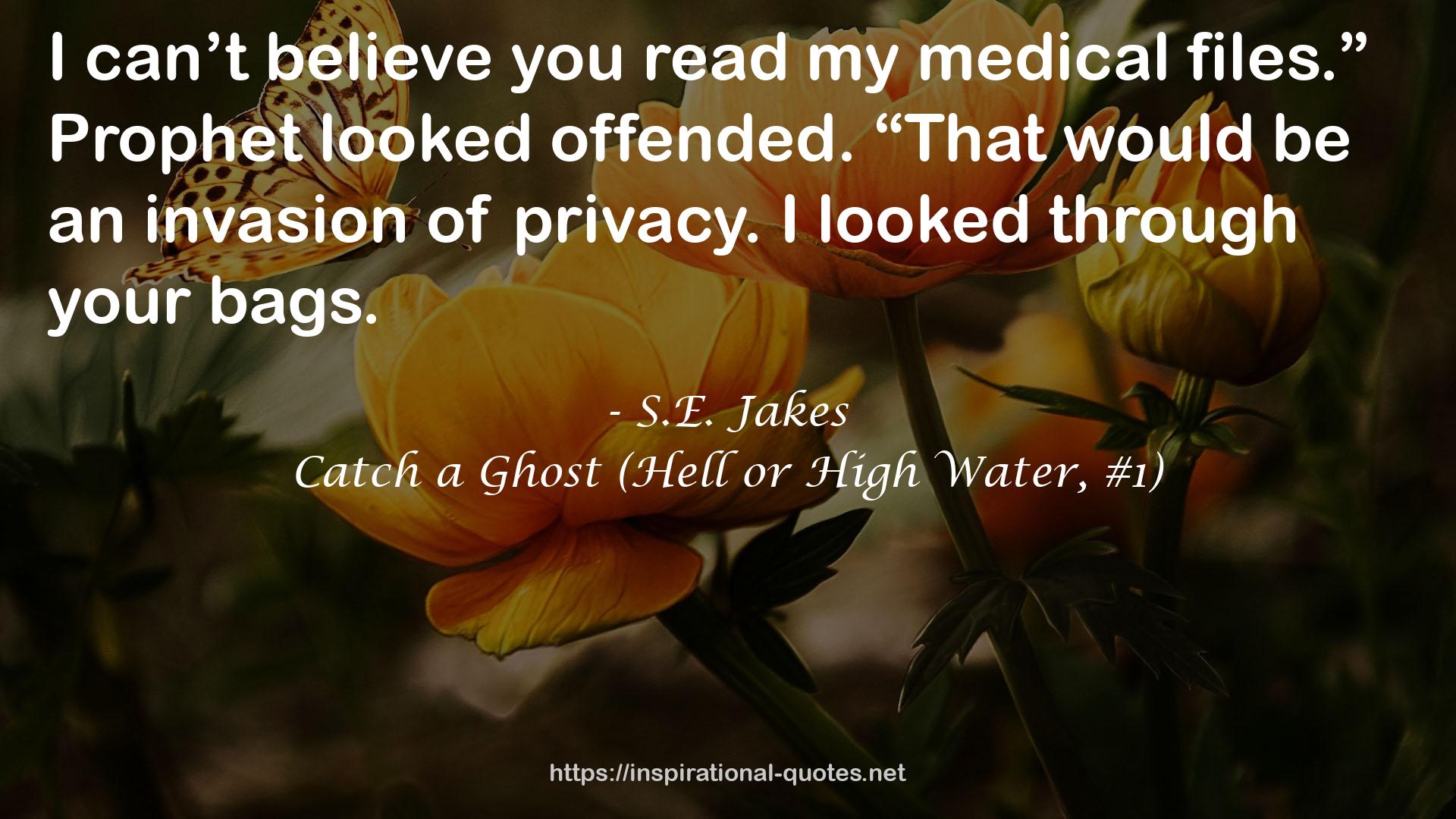S.E. Jakes QUOTES