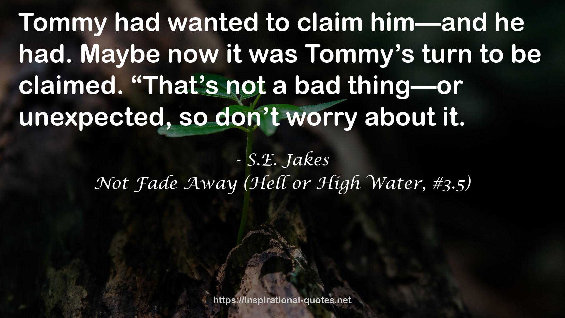 Not Fade Away (Hell or High Water, #3.5) QUOTES