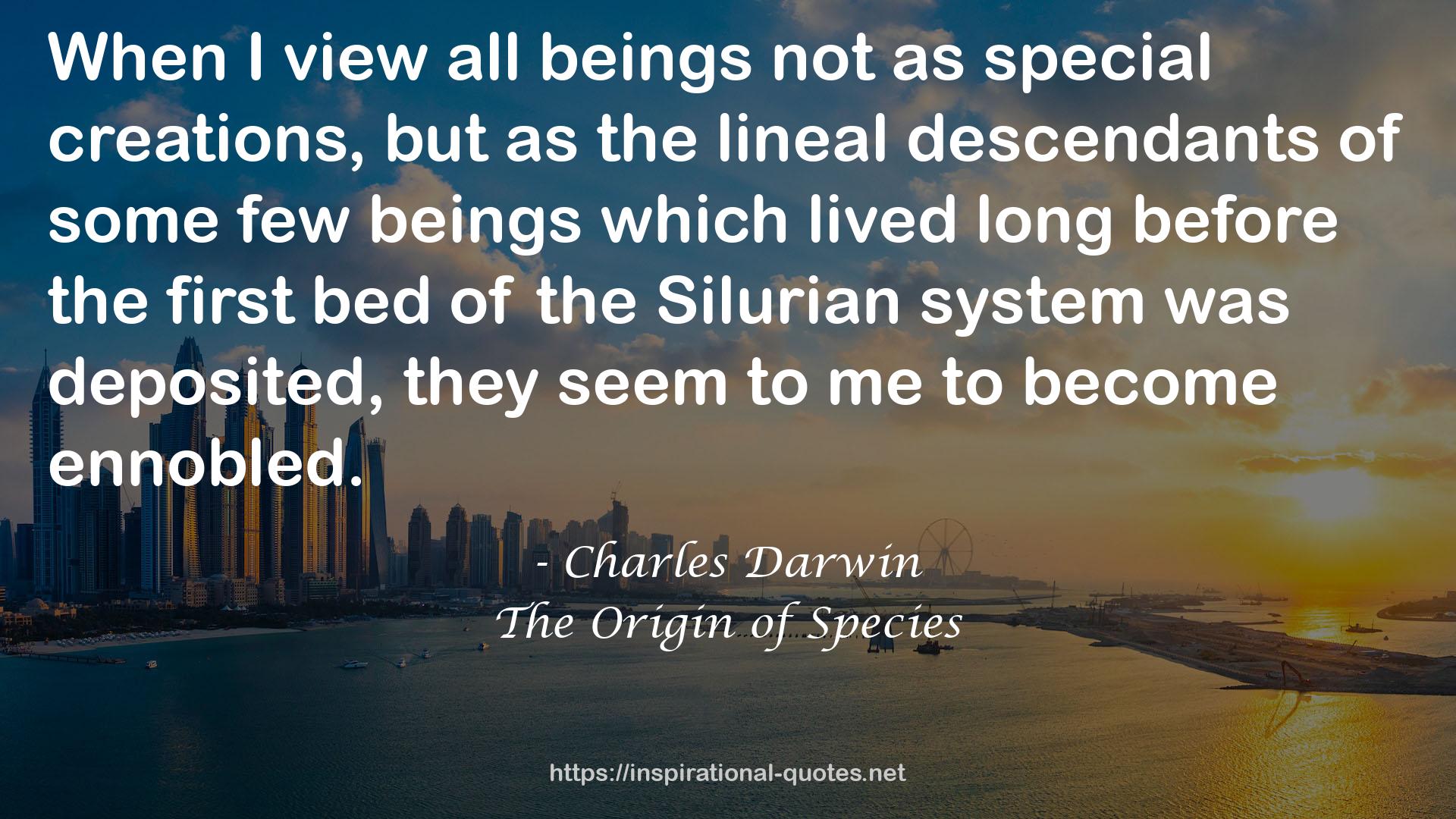 Silurian  QUOTES