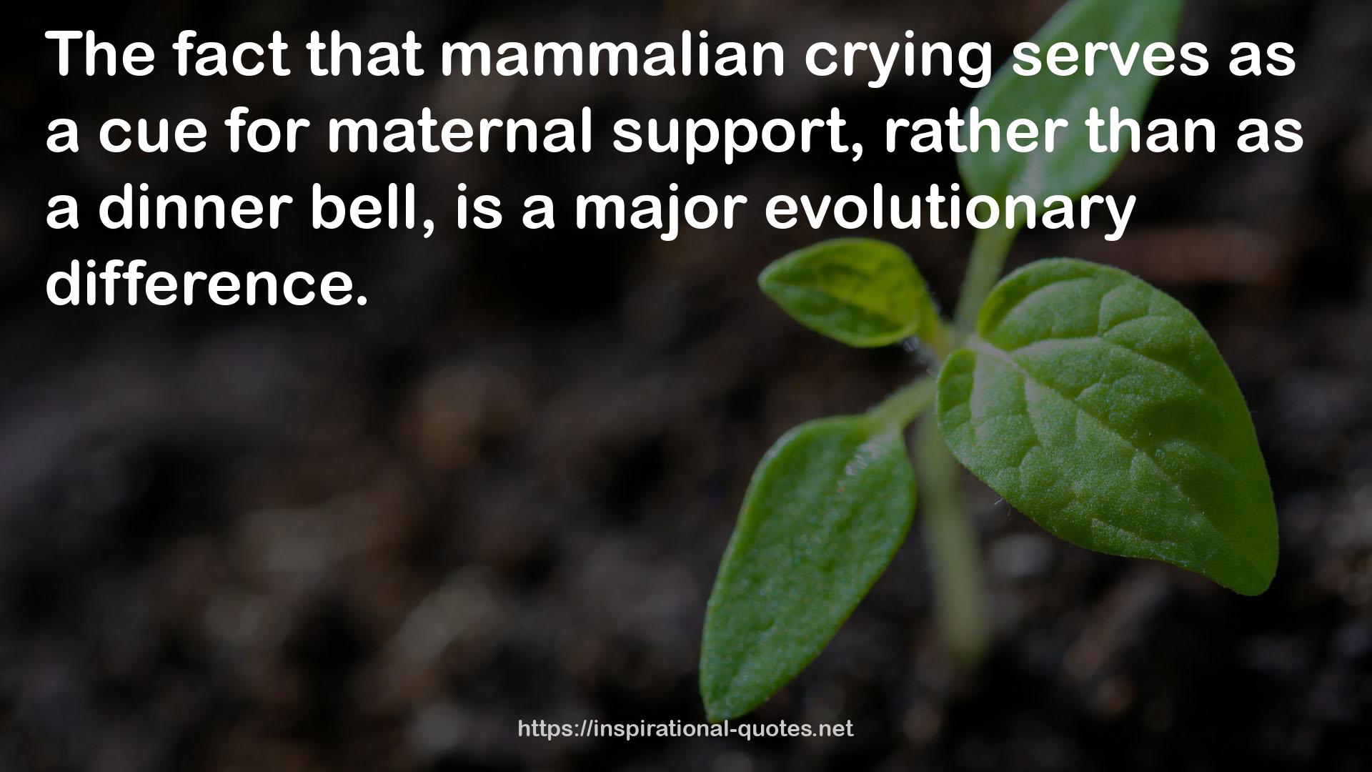 mammalian crying  QUOTES