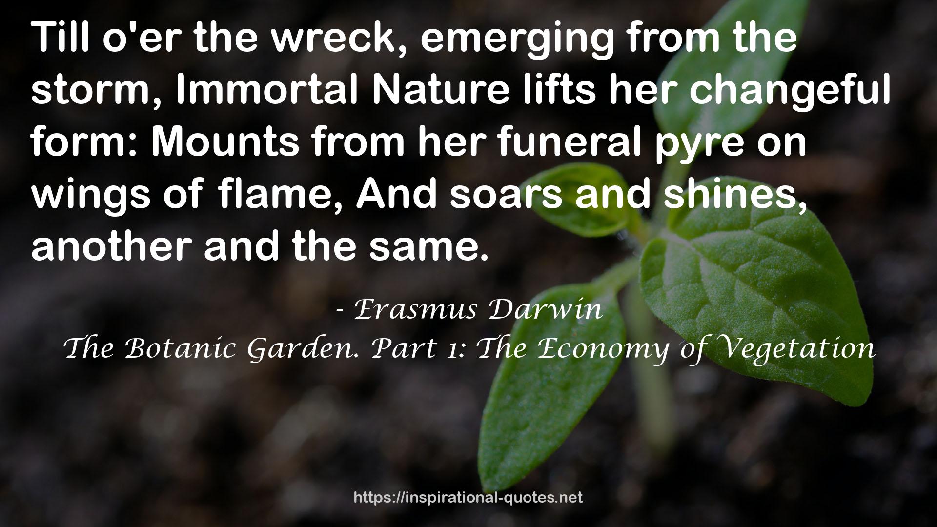 The Botanic Garden. Part 1: The Economy of Vegetation QUOTES