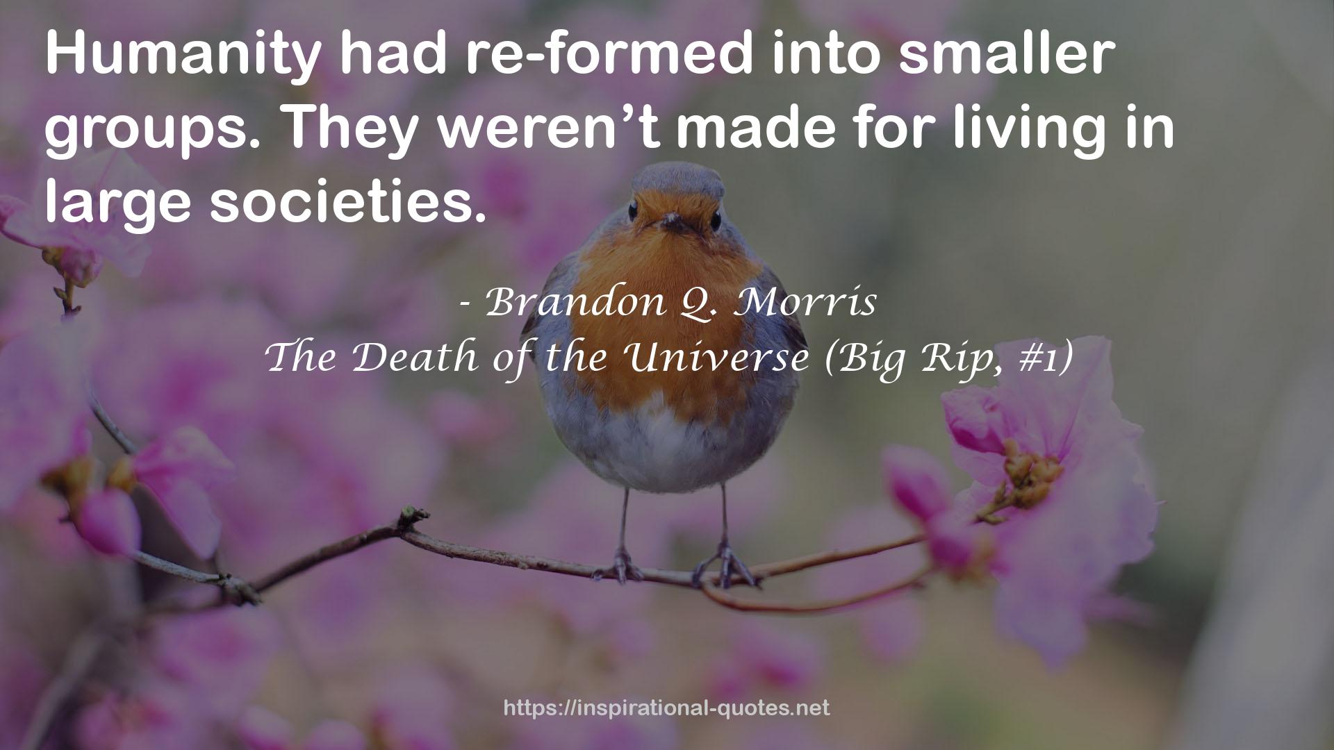 The Death of the Universe (Big Rip, #1) QUOTES