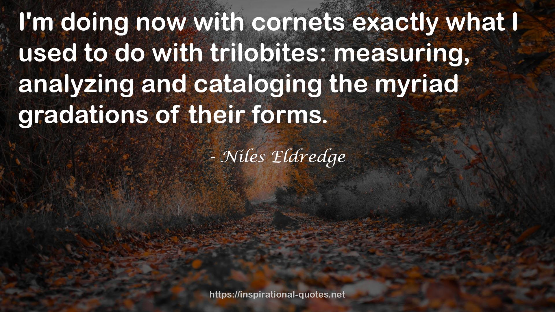 Niles Eldredge QUOTES