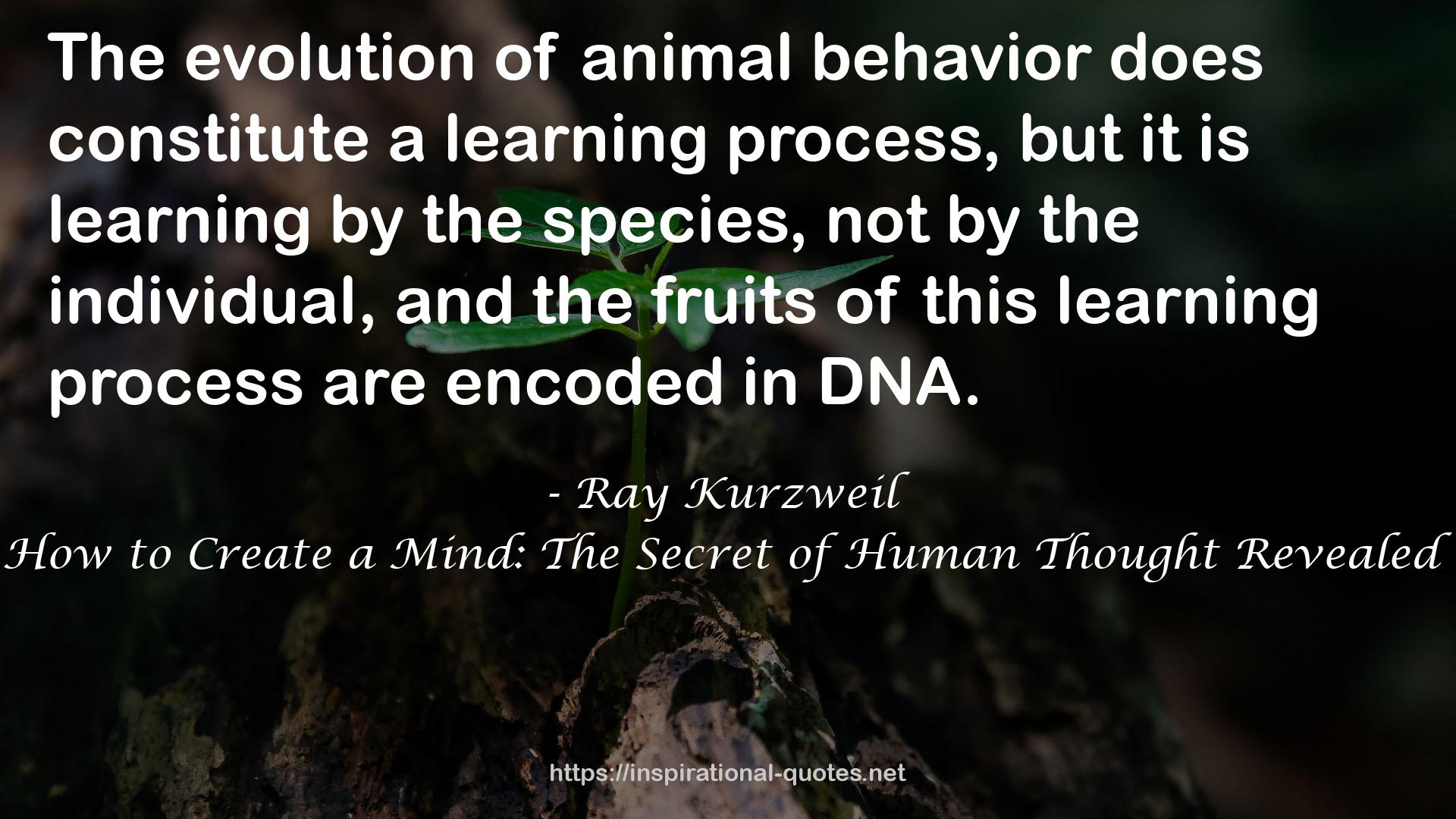 animal behavior  QUOTES