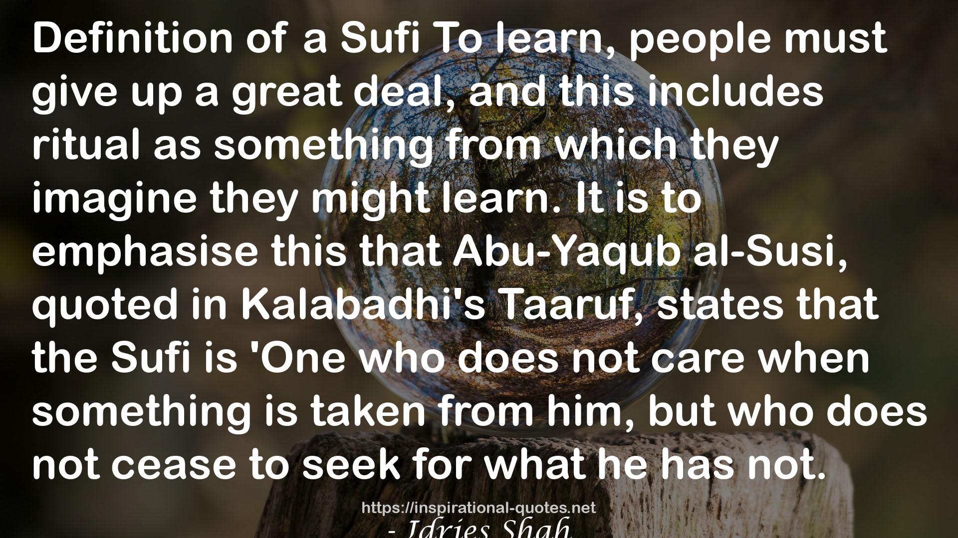 the Sufi  QUOTES