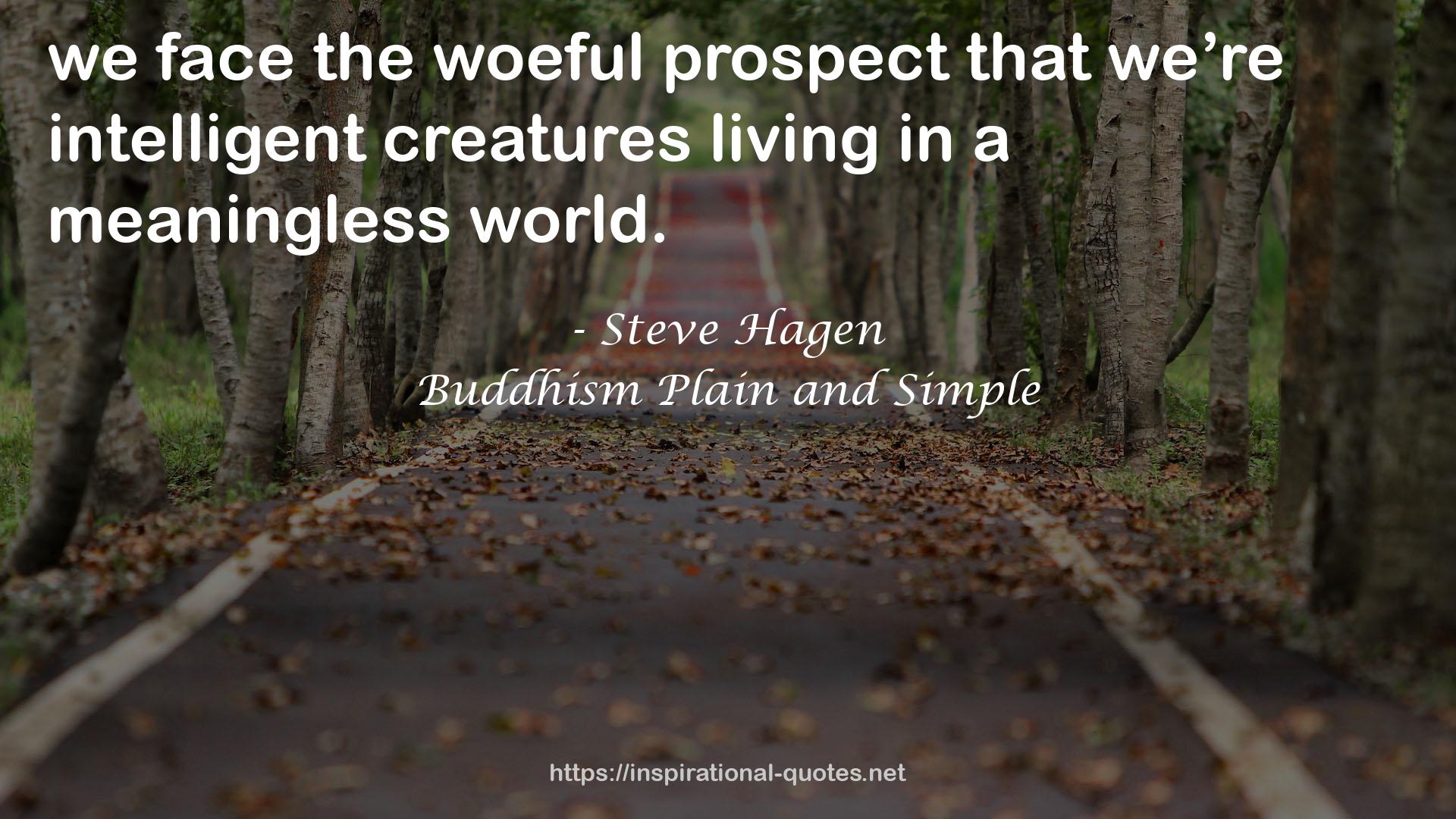 Steve Hagen QUOTES