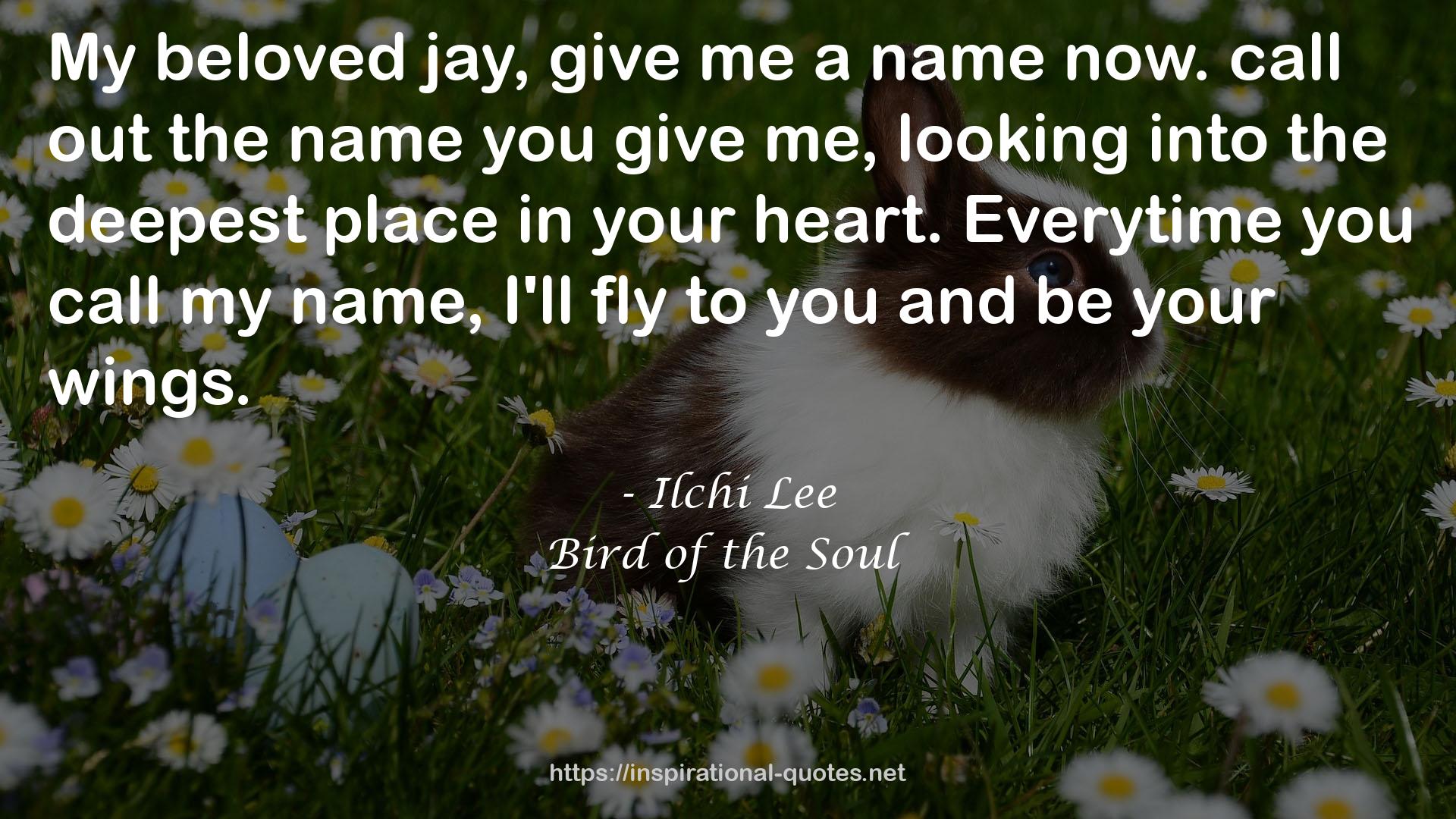 Bird of the Soul QUOTES