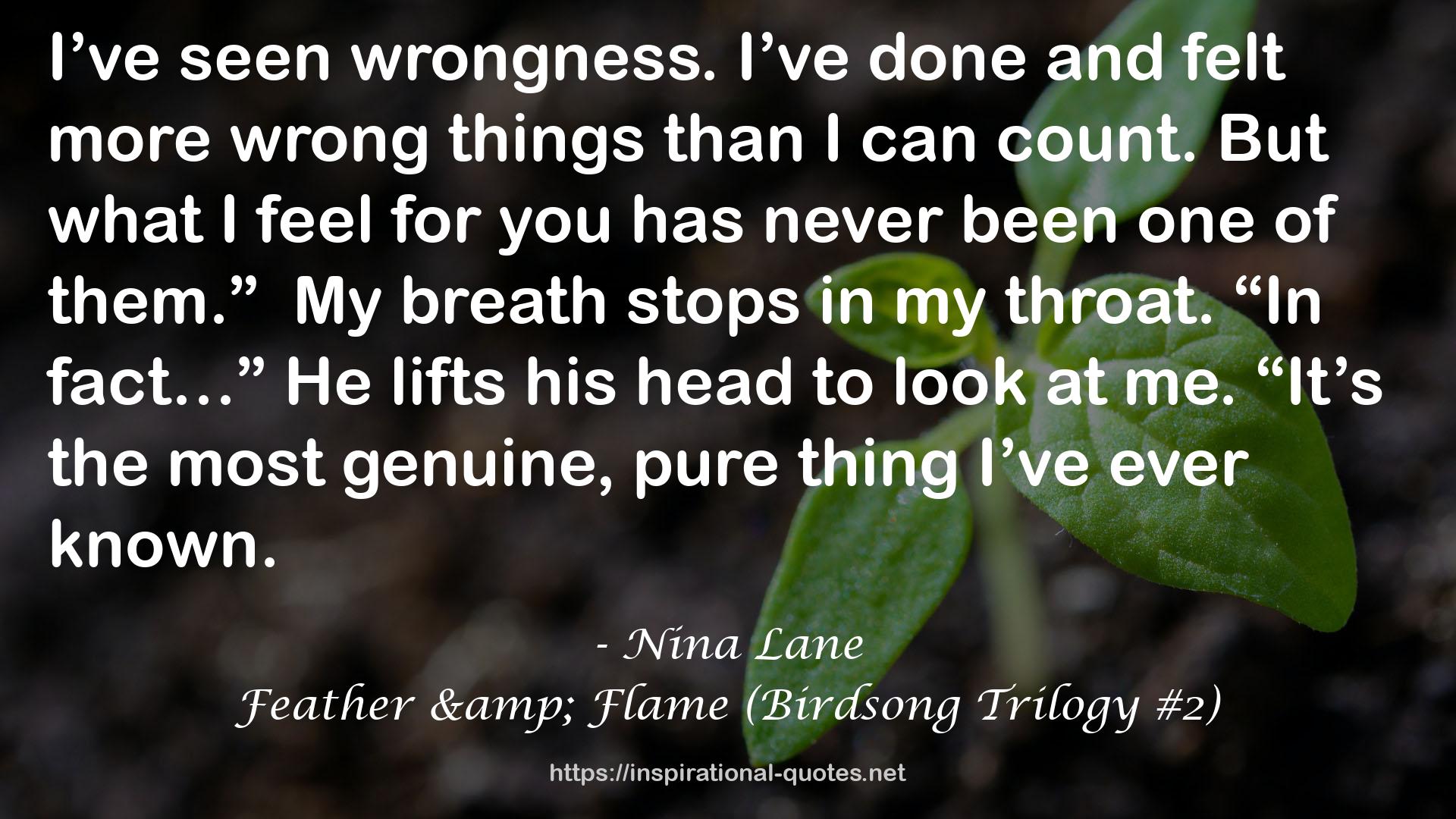Nina Lane QUOTES