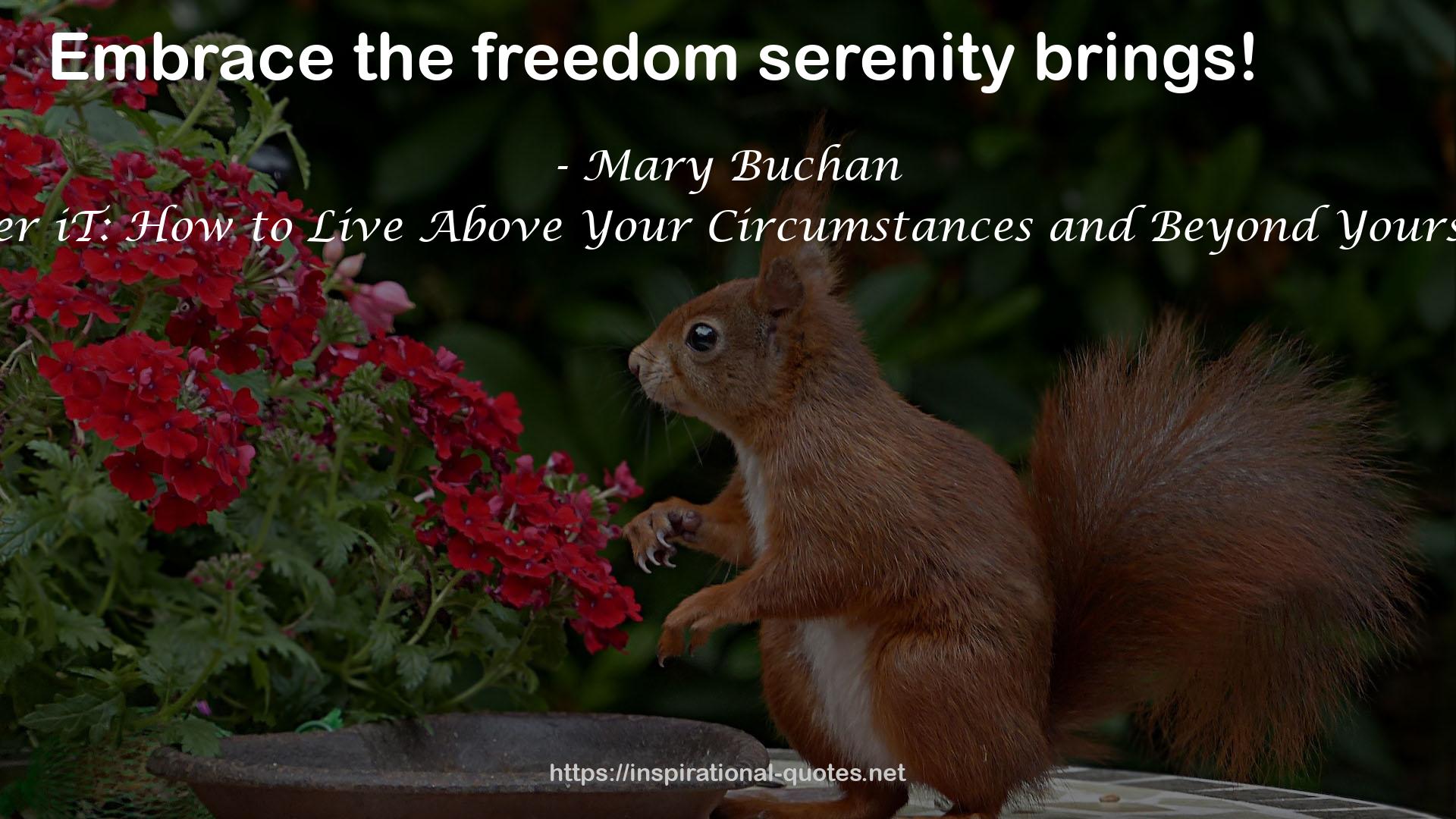 the freedom serenity  QUOTES