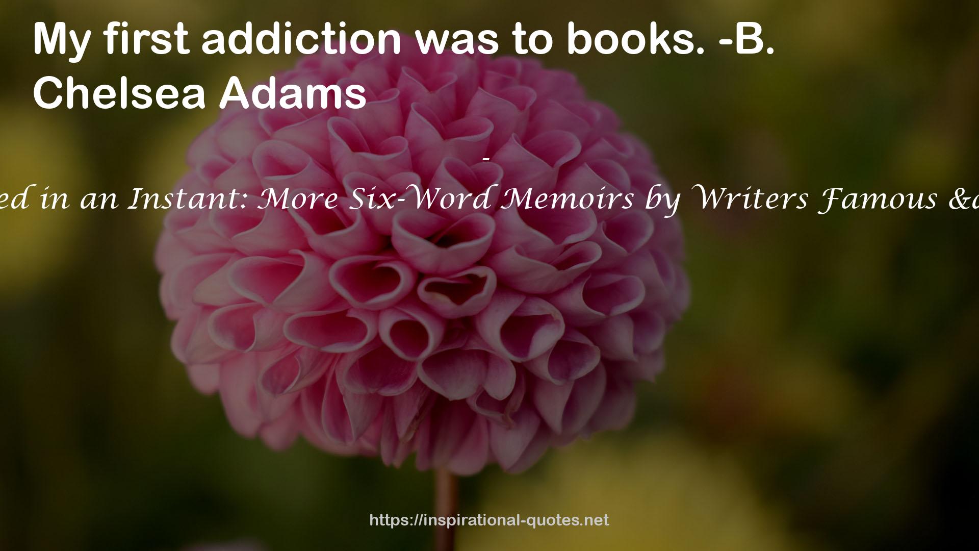 It All Changed in an Instant: More Six-Word Memoirs by Writers Famous & Obscure QUOTES