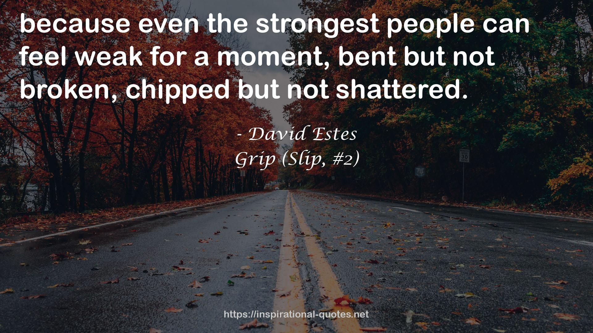 Grip (Slip, #2) QUOTES