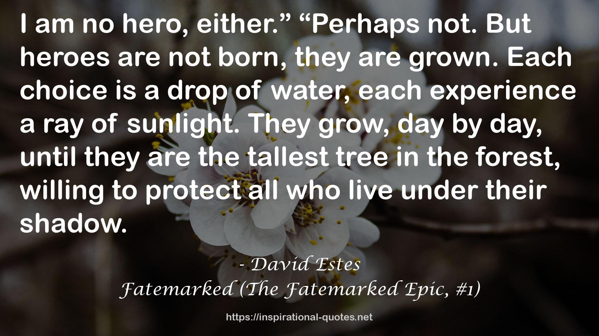 David Estes QUOTES