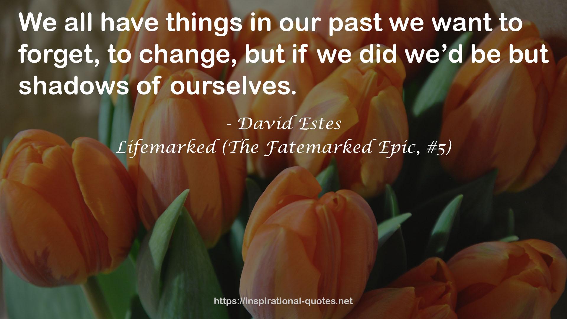 David Estes QUOTES