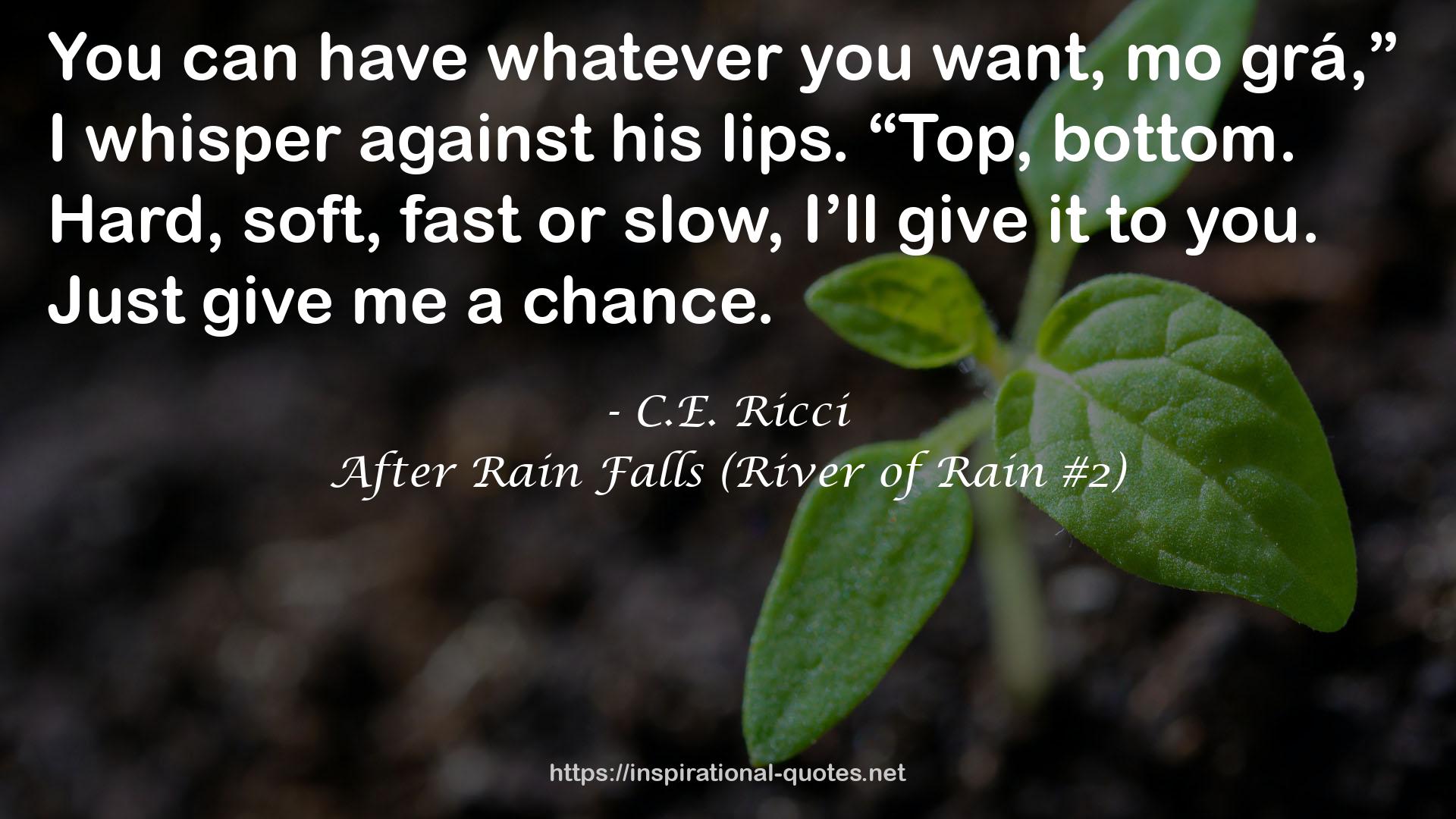 After Rain Falls (River of Rain #2) QUOTES