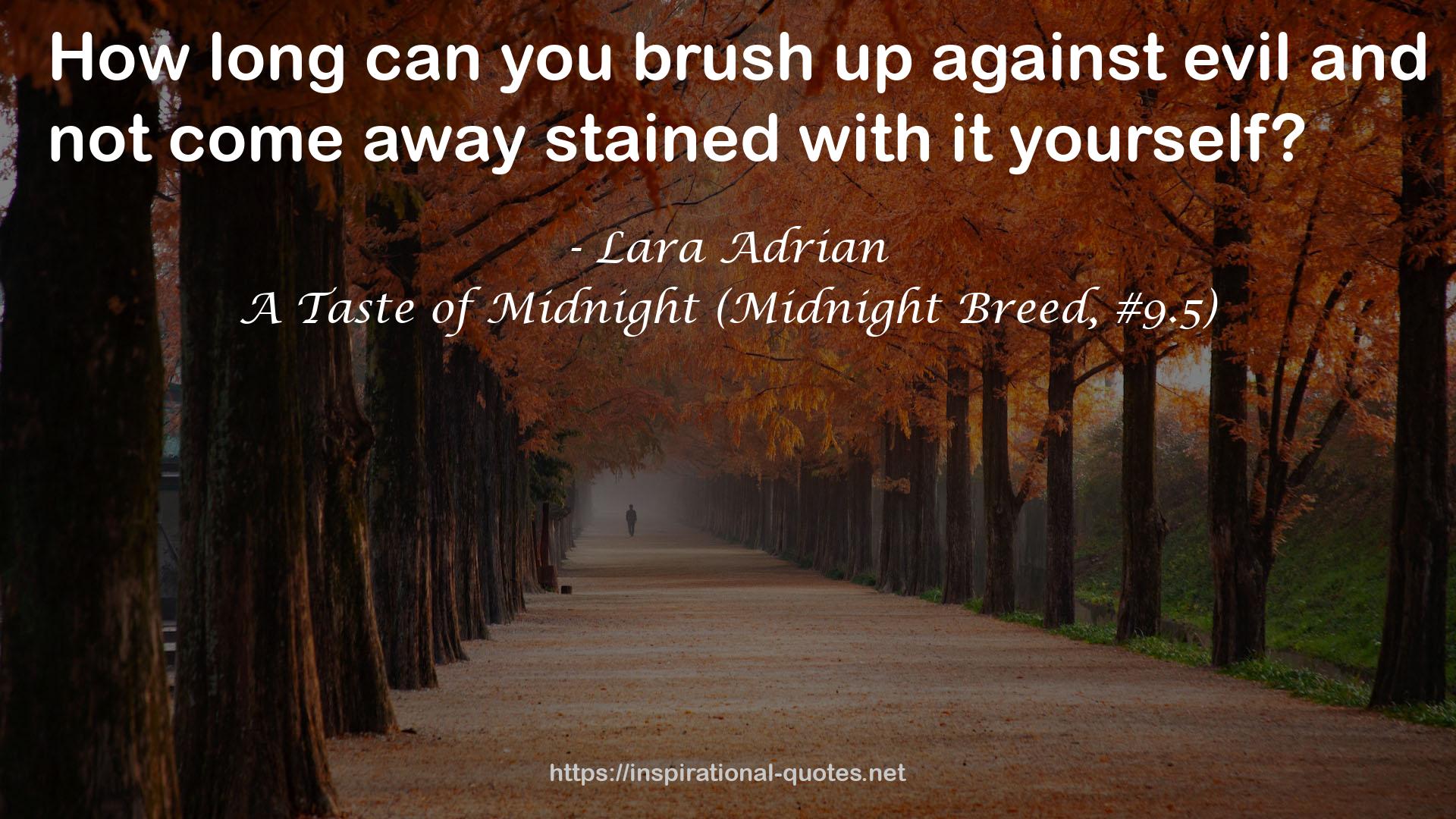 A Taste of Midnight (Midnight Breed, #9.5) QUOTES