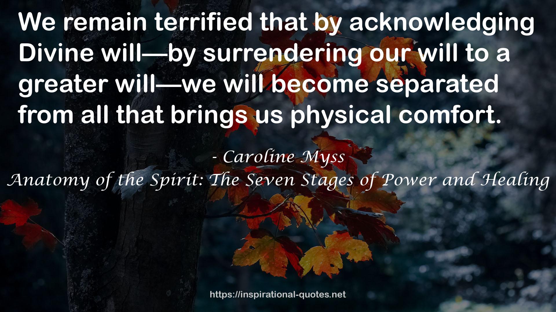 Anatomy of the Spirit: The Seven Stages of Power and Healing QUOTES