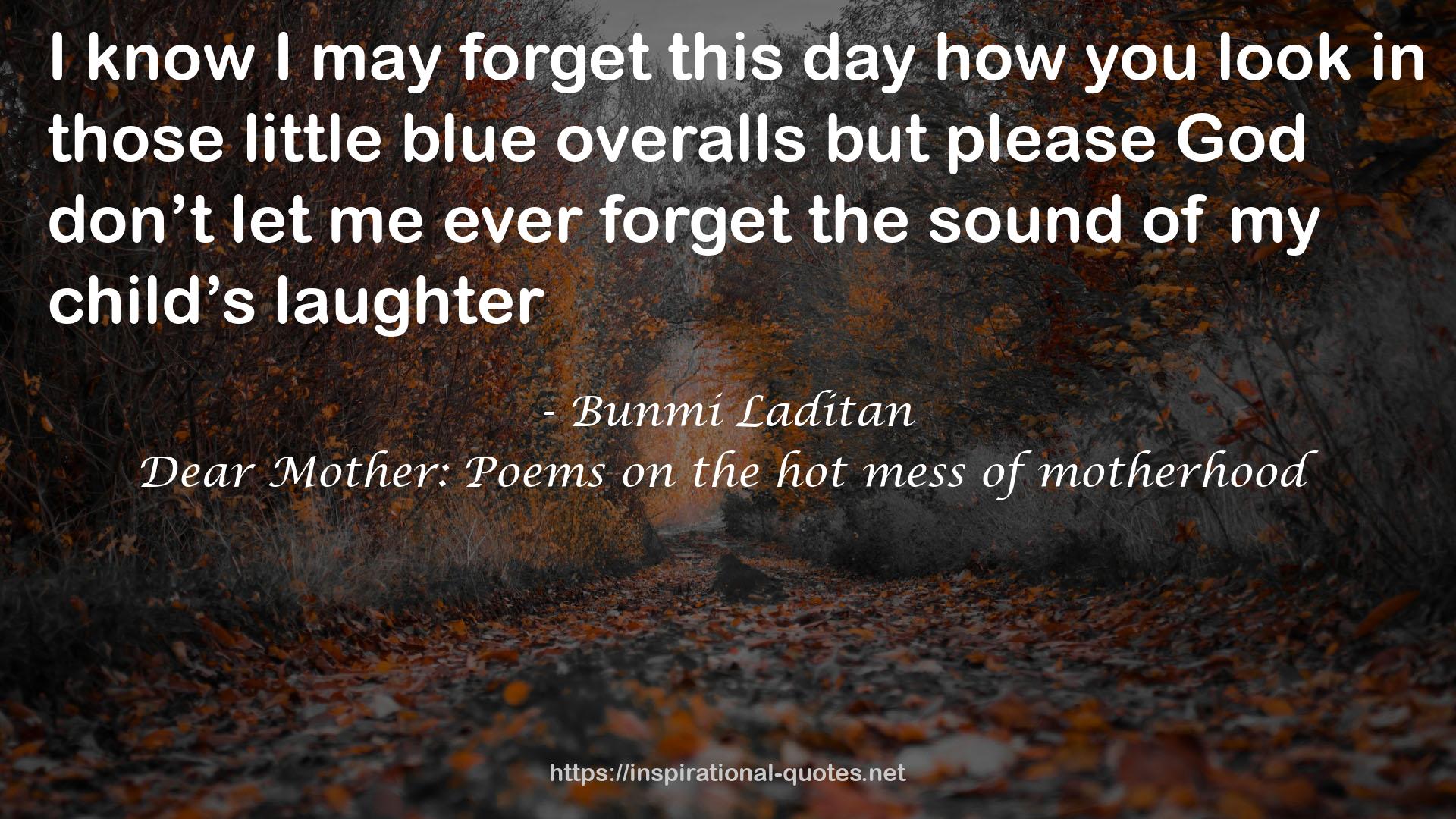 Bunmi Laditan QUOTES