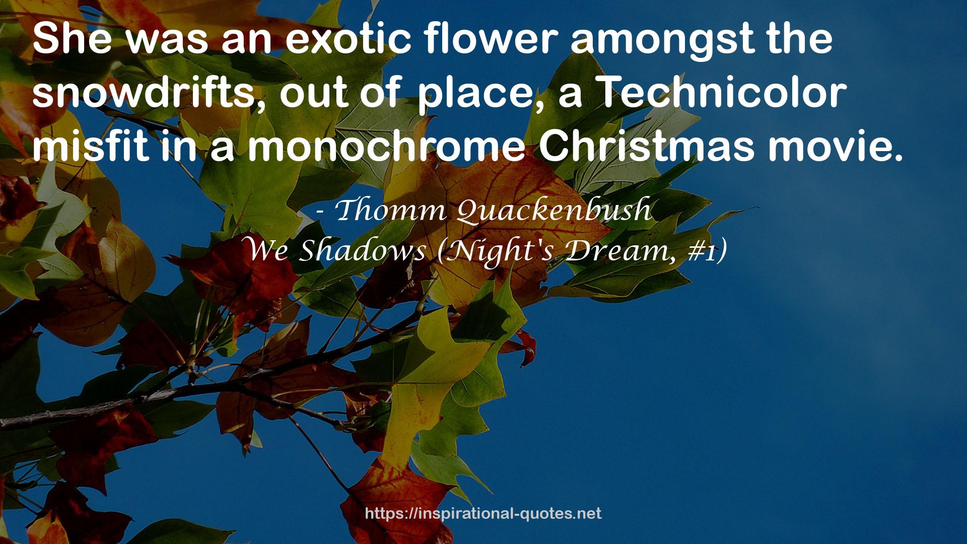 We Shadows (Night's Dream, #1) QUOTES