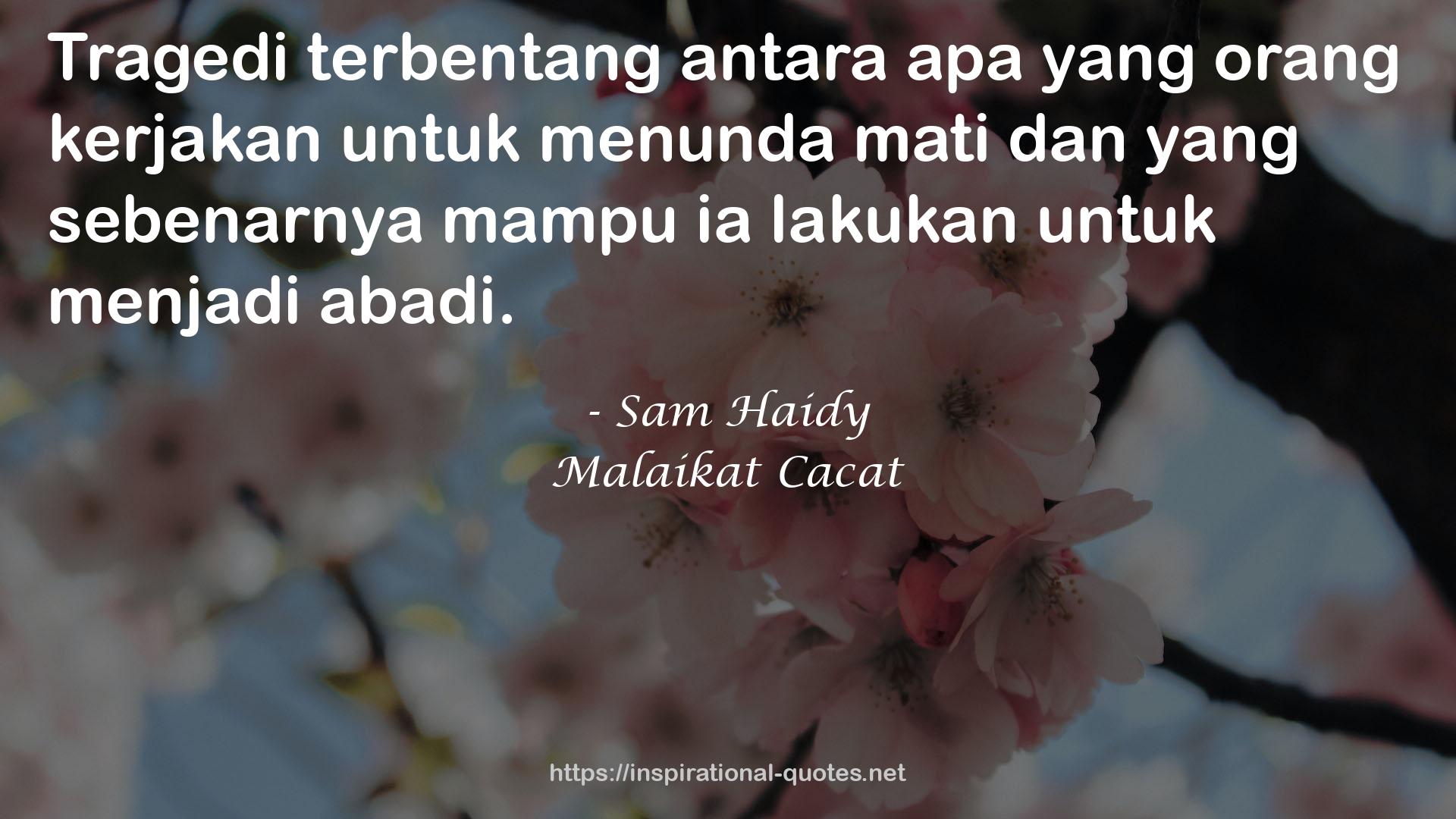 Sam Haidy QUOTES