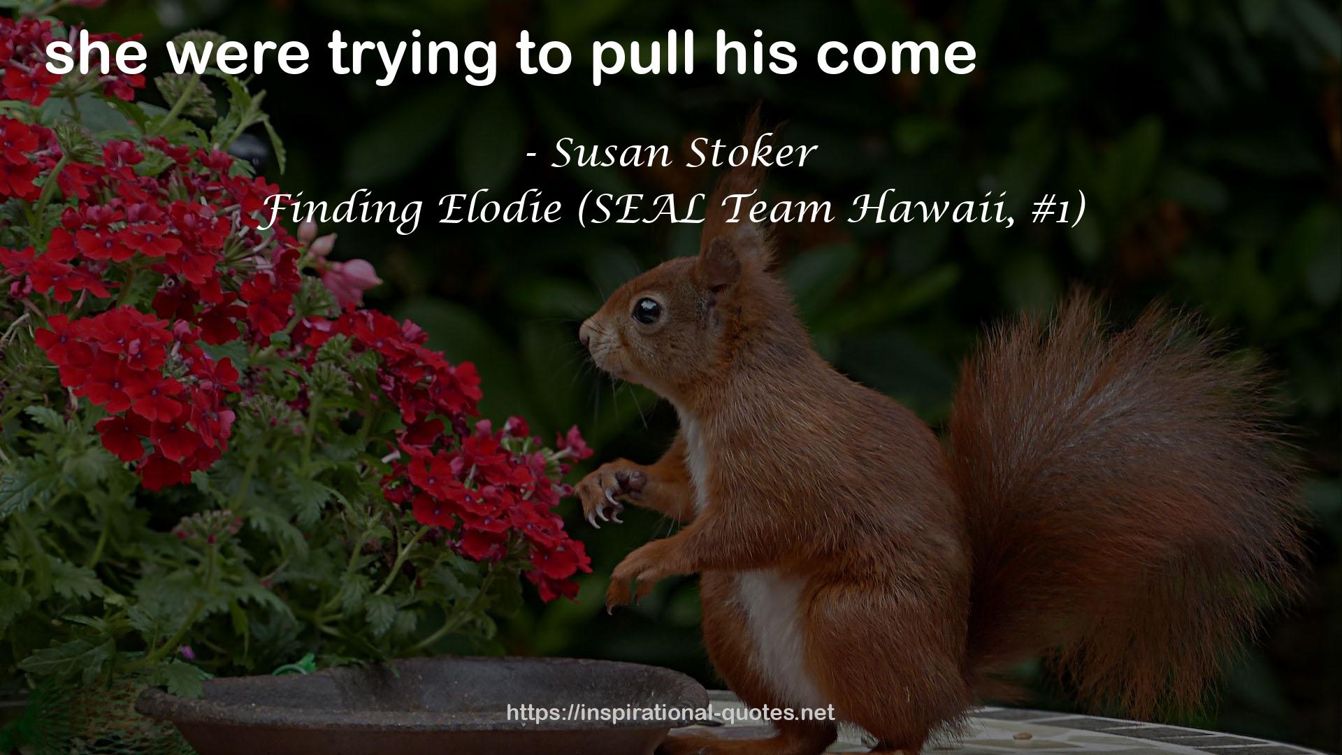 Finding Elodie (SEAL Team Hawaii, #1) QUOTES