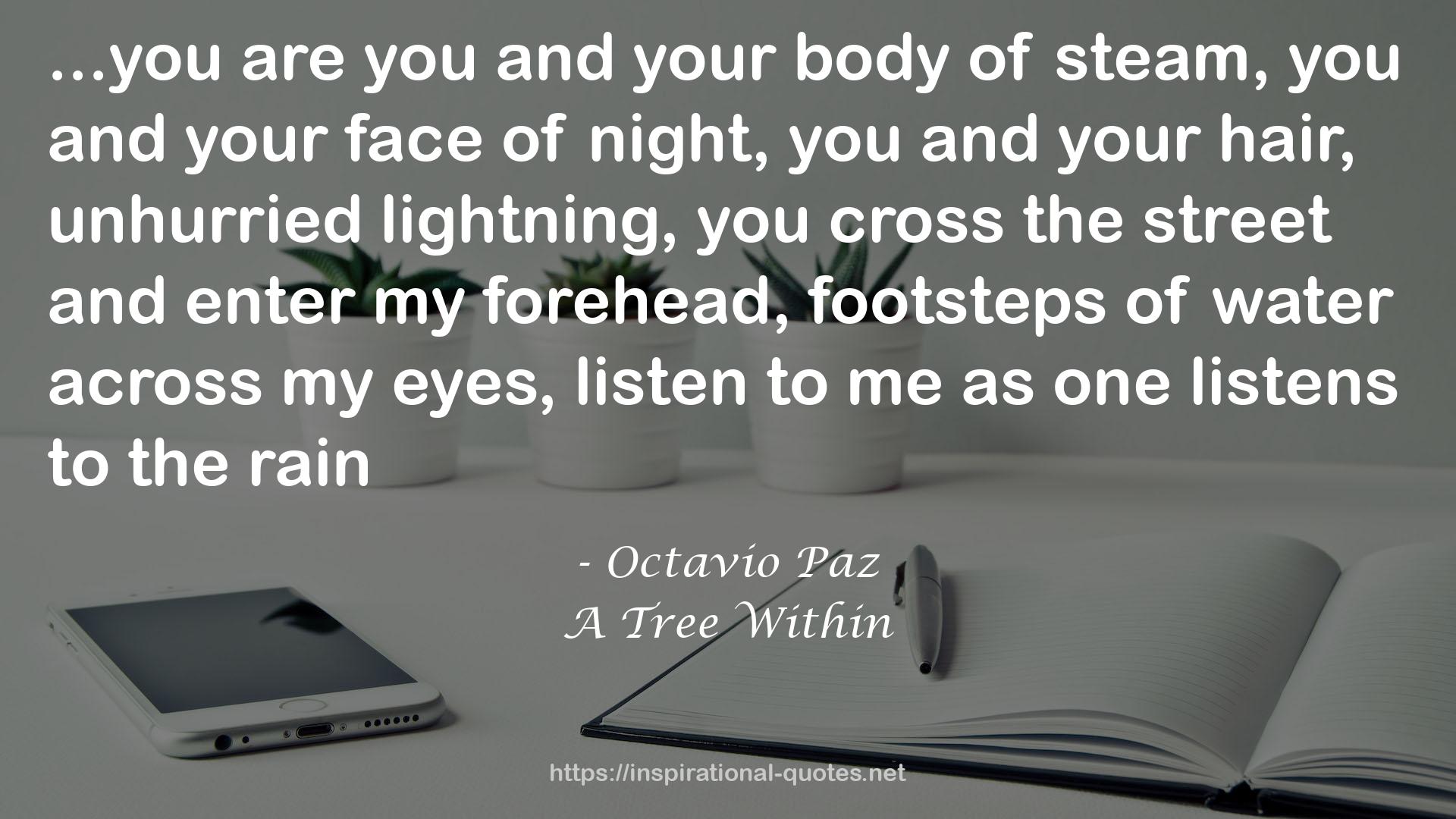 Octavio Paz QUOTES