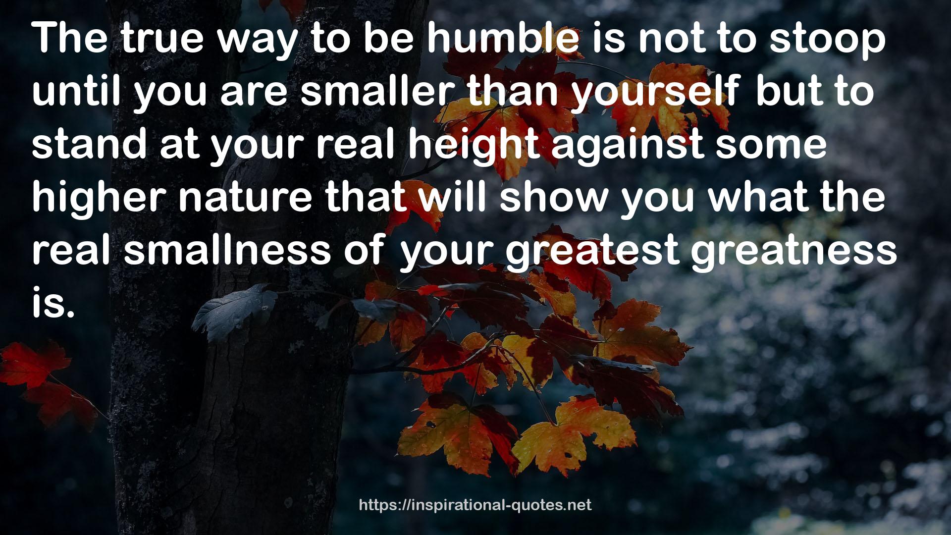 your greatest greatness  QUOTES