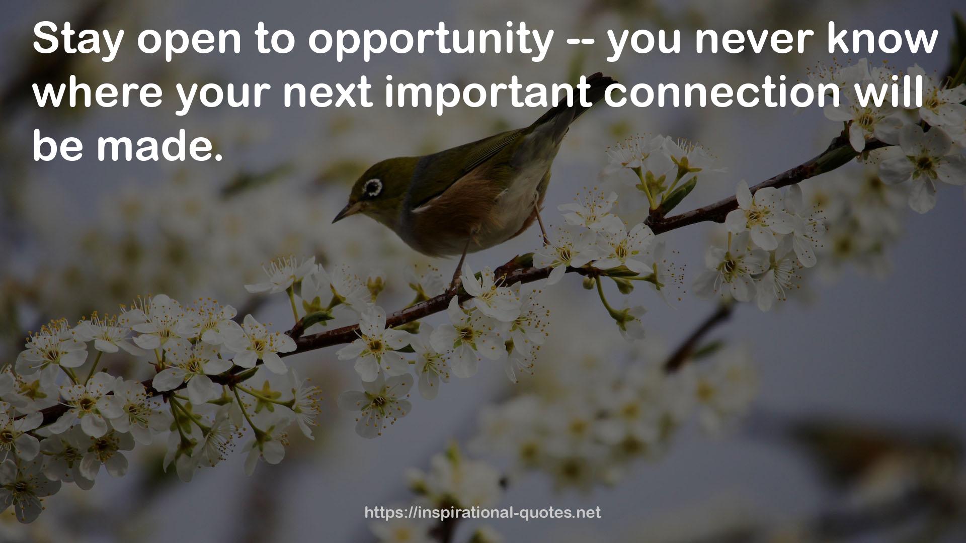 your next important connection  QUOTES