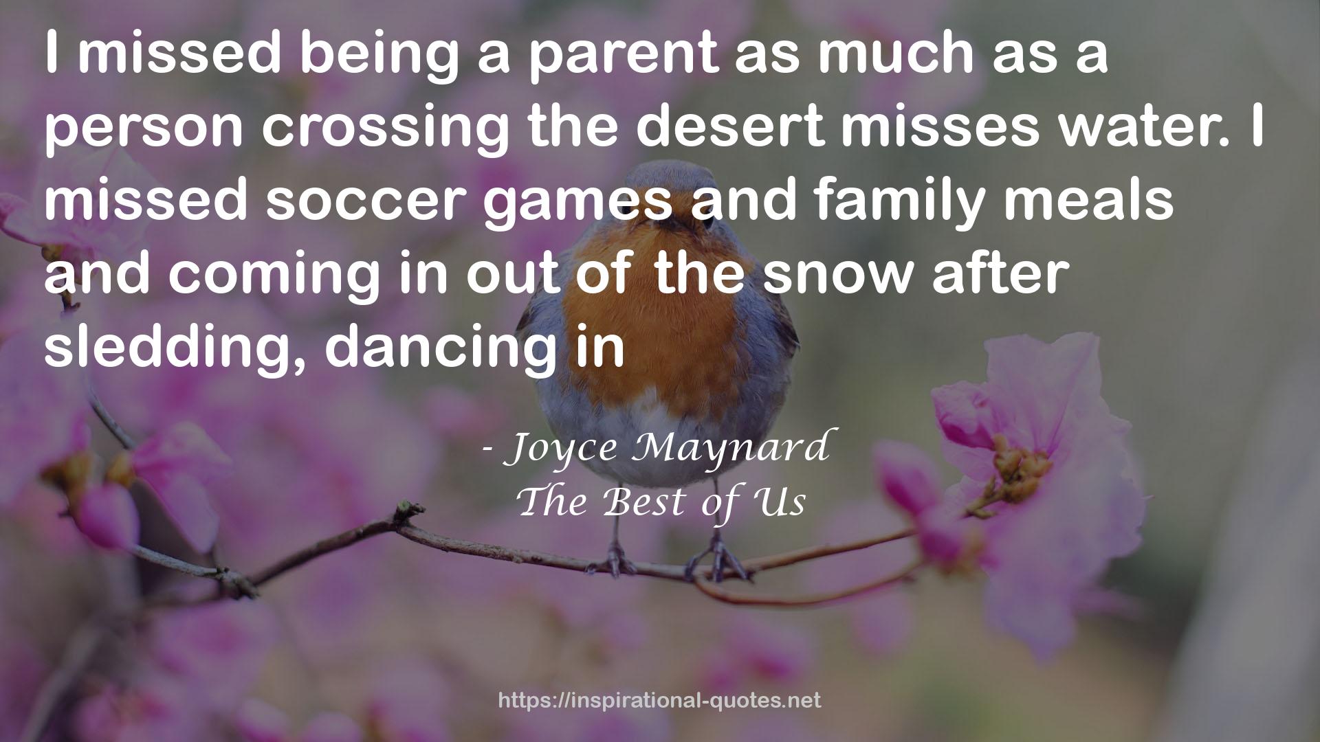 Joyce Maynard QUOTES