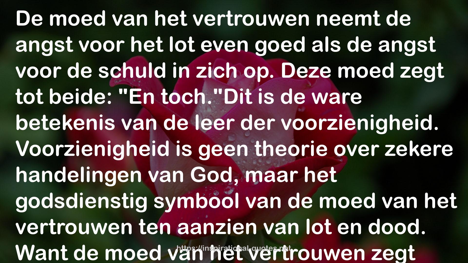 De moed om te zijn: over de menselijke persoonlijkheid en de zin van het bestaan QUOTES