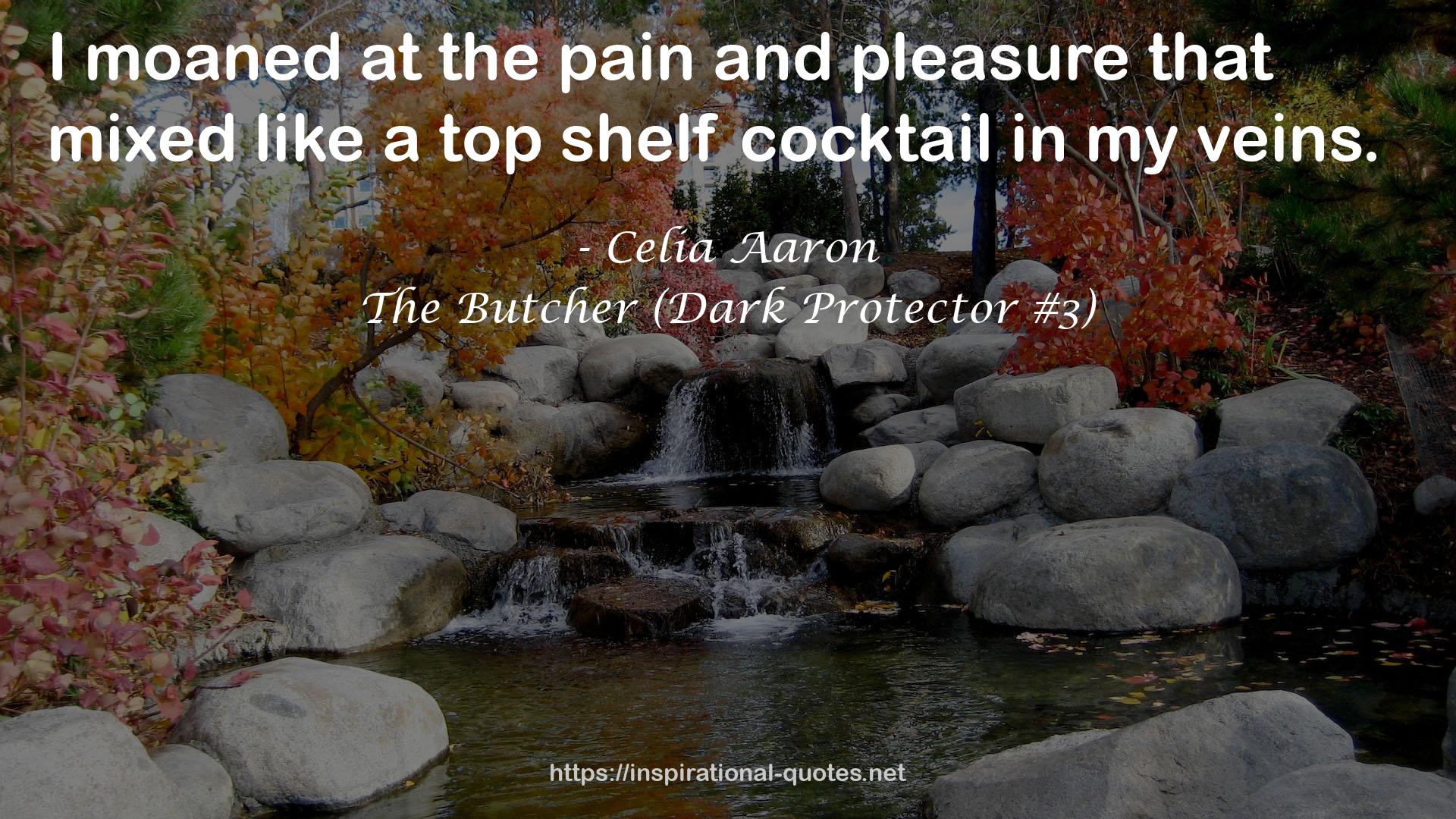 The Butcher (Dark Protector #3) QUOTES