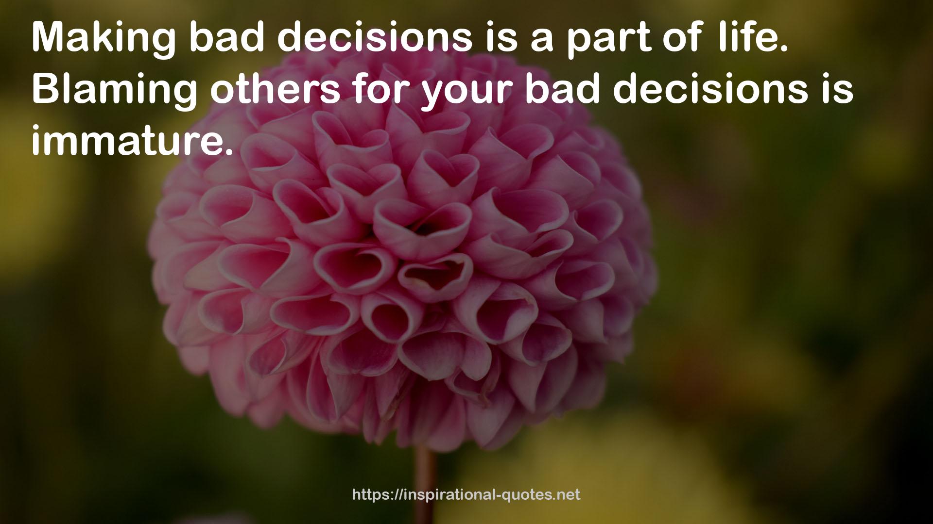 your bad decisions  QUOTES