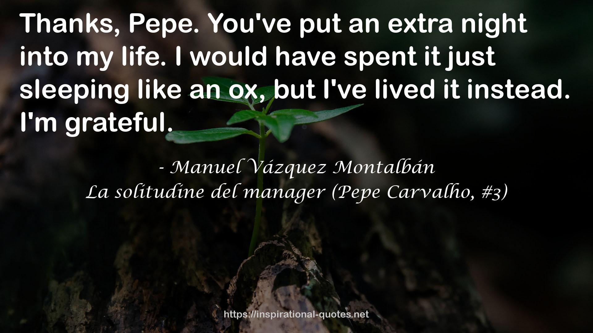 La solitudine del manager (Pepe Carvalho, #3) QUOTES