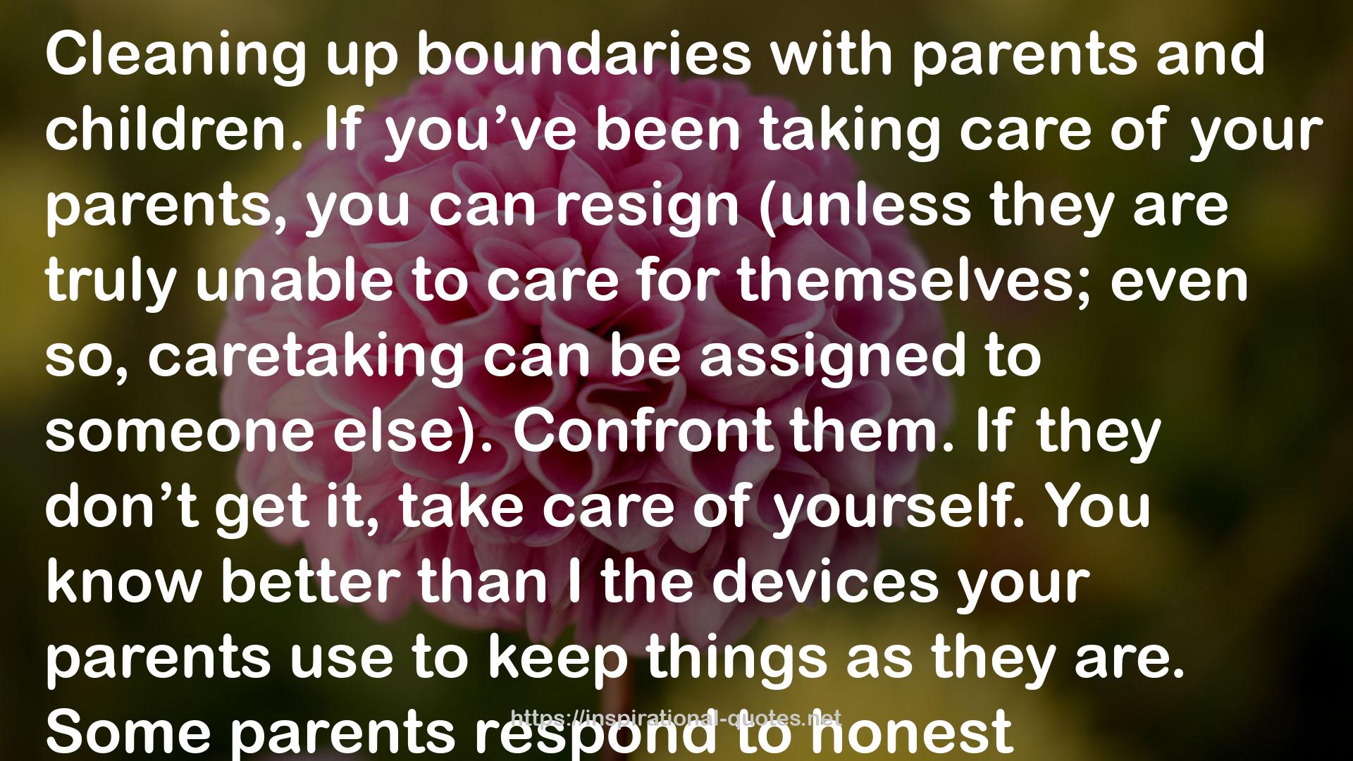 Boundaries: Where You End And I Begin: How To Recognize And Set Healthy Boundaries QUOTES