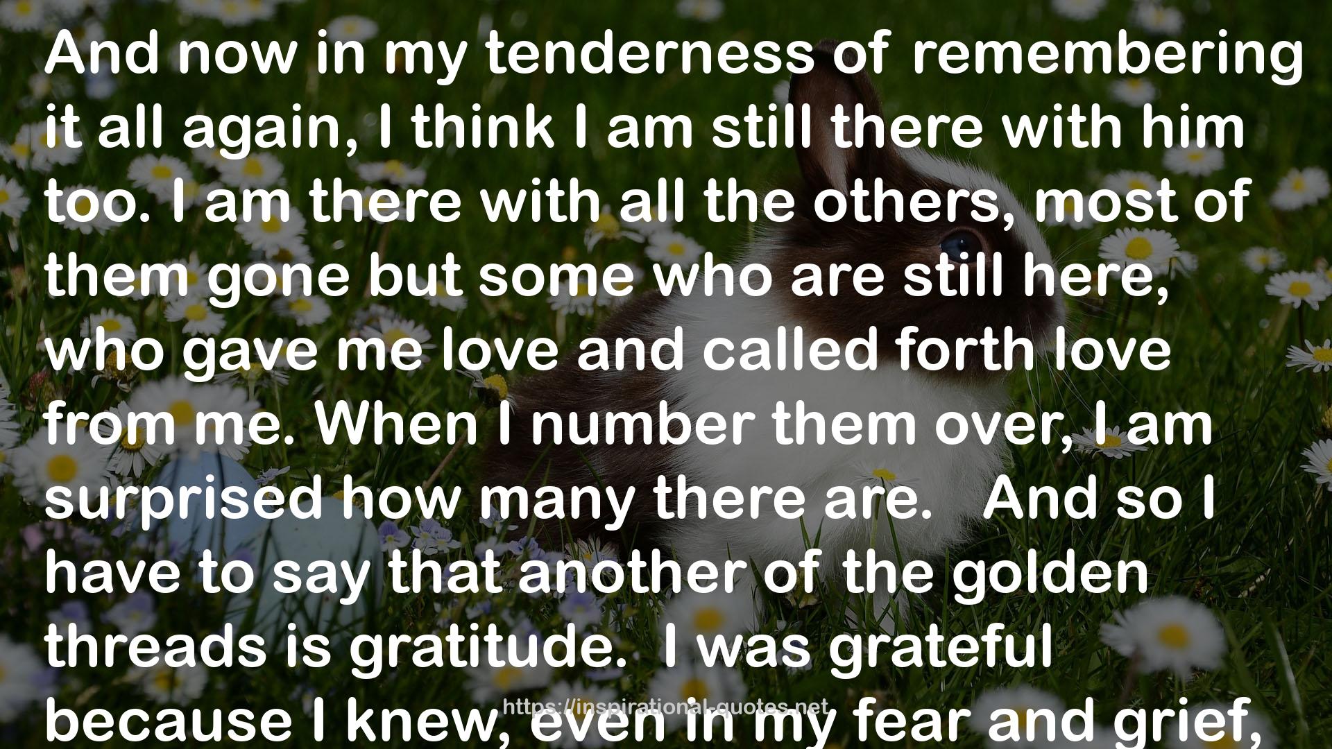 the golden threads  QUOTES