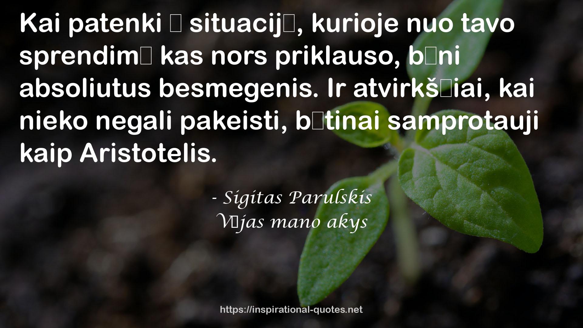 Sigitas Parulskis QUOTES